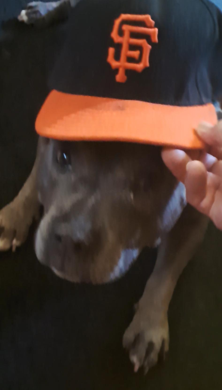 Scarlett is being well taken …