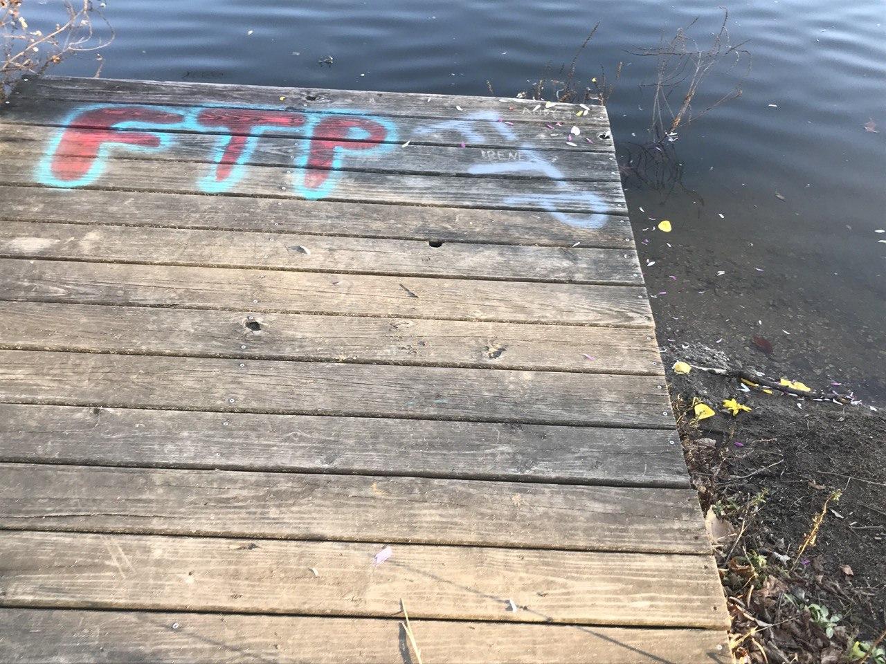 The last petals for CJ. Satur…