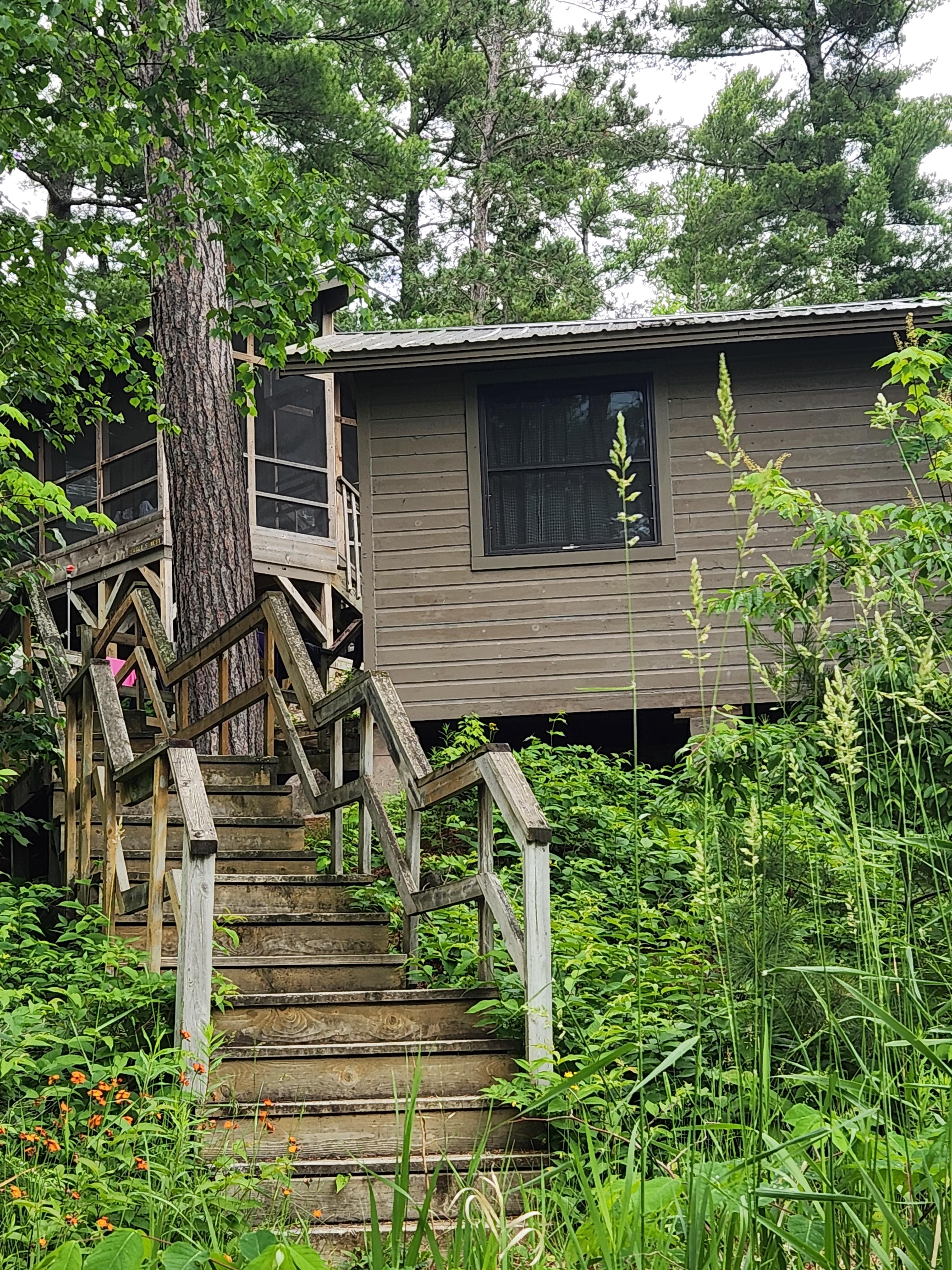 Camp cabin