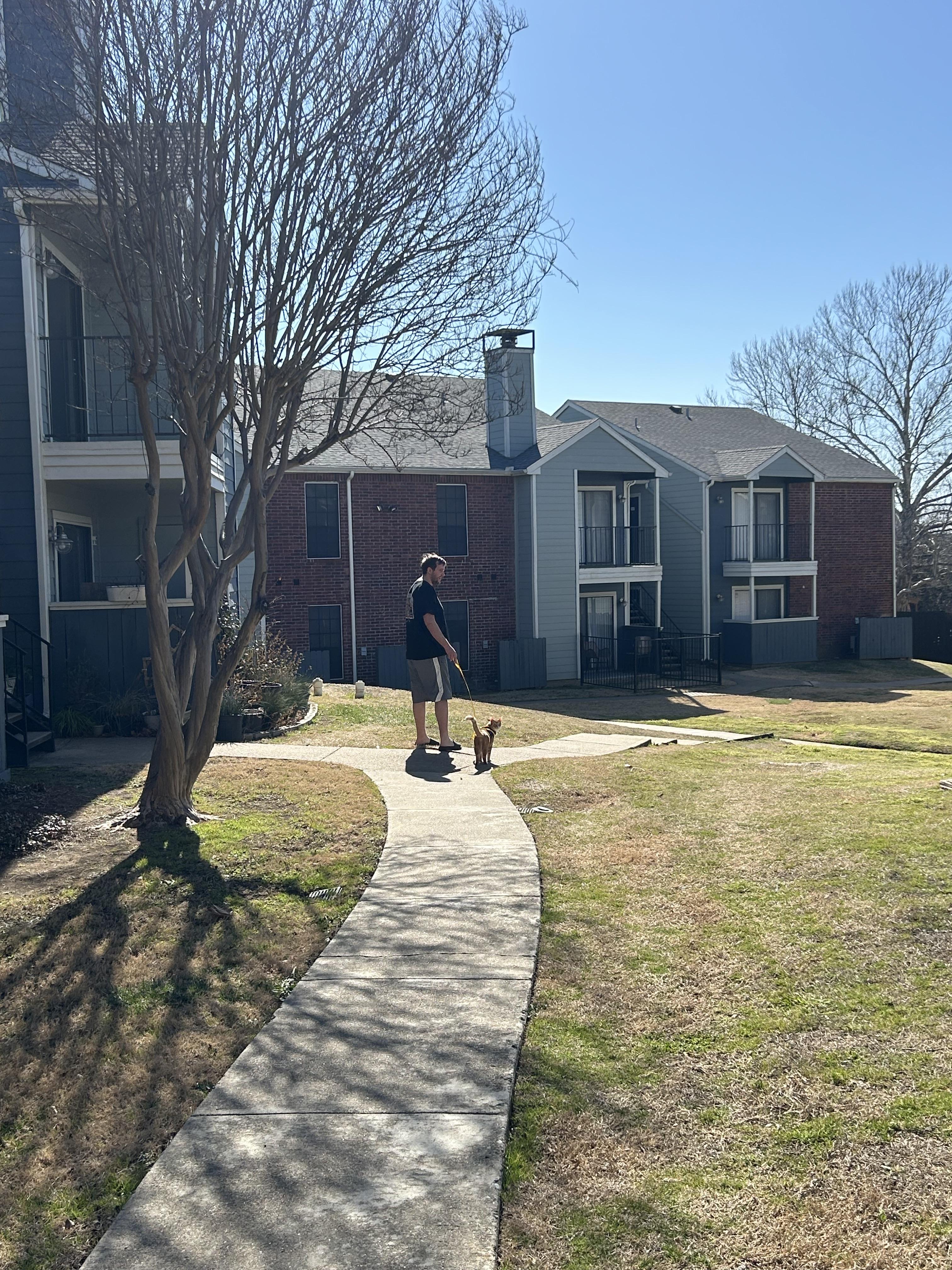 Andrew walking his boy, Tiger