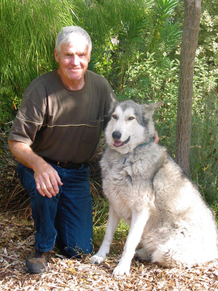 Dad with his Wolf Malamute do…