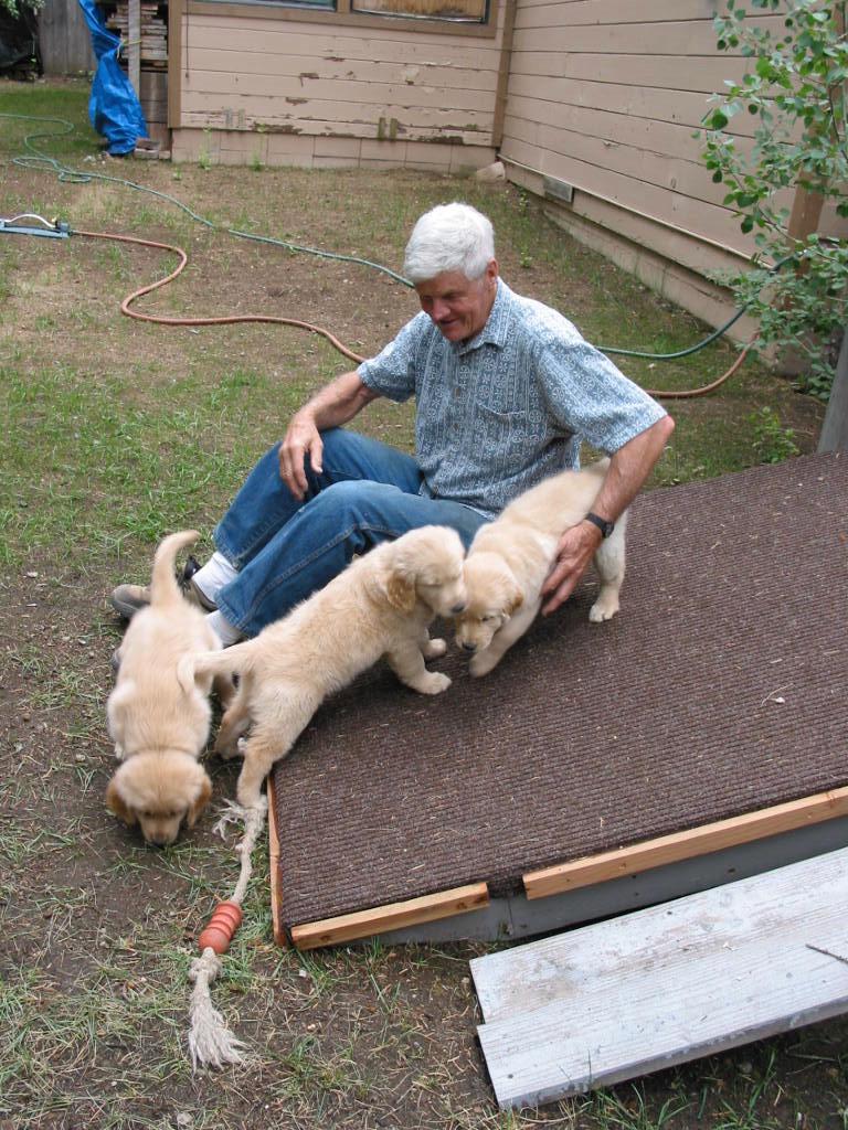 Dad with his passel of puppies