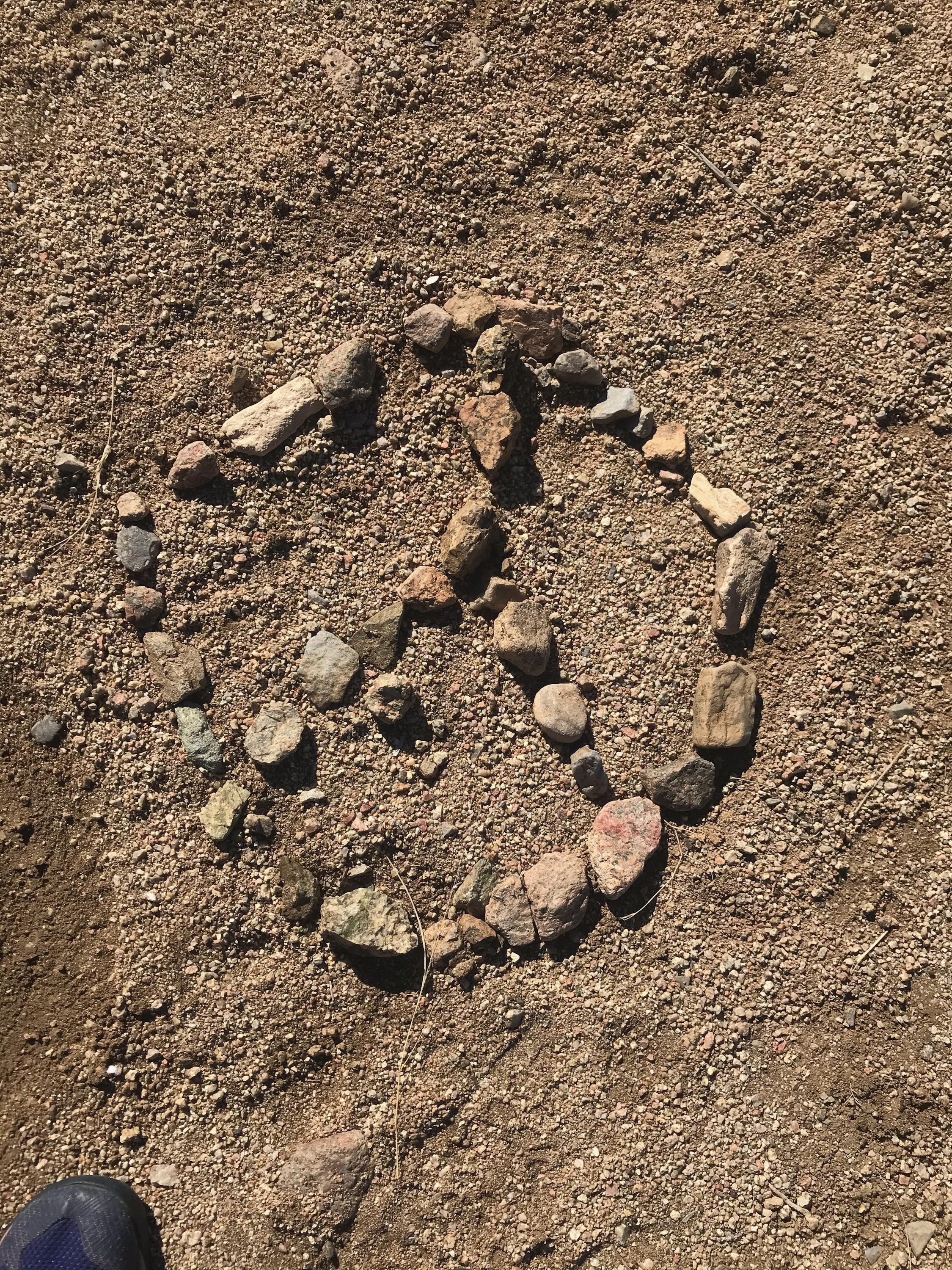✌🏼I saw this on a hike in ABQ…