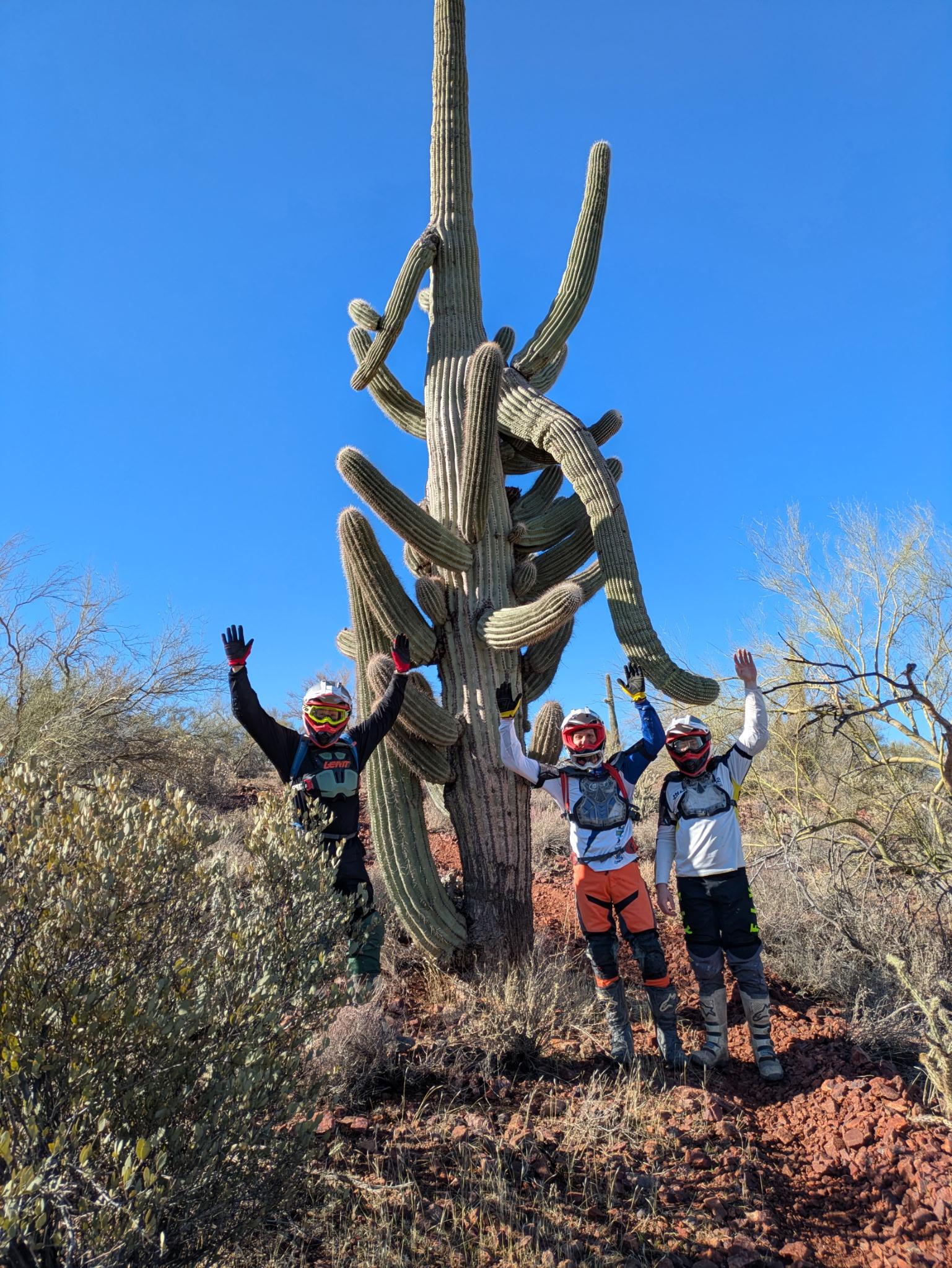 Craziest cactus ever!