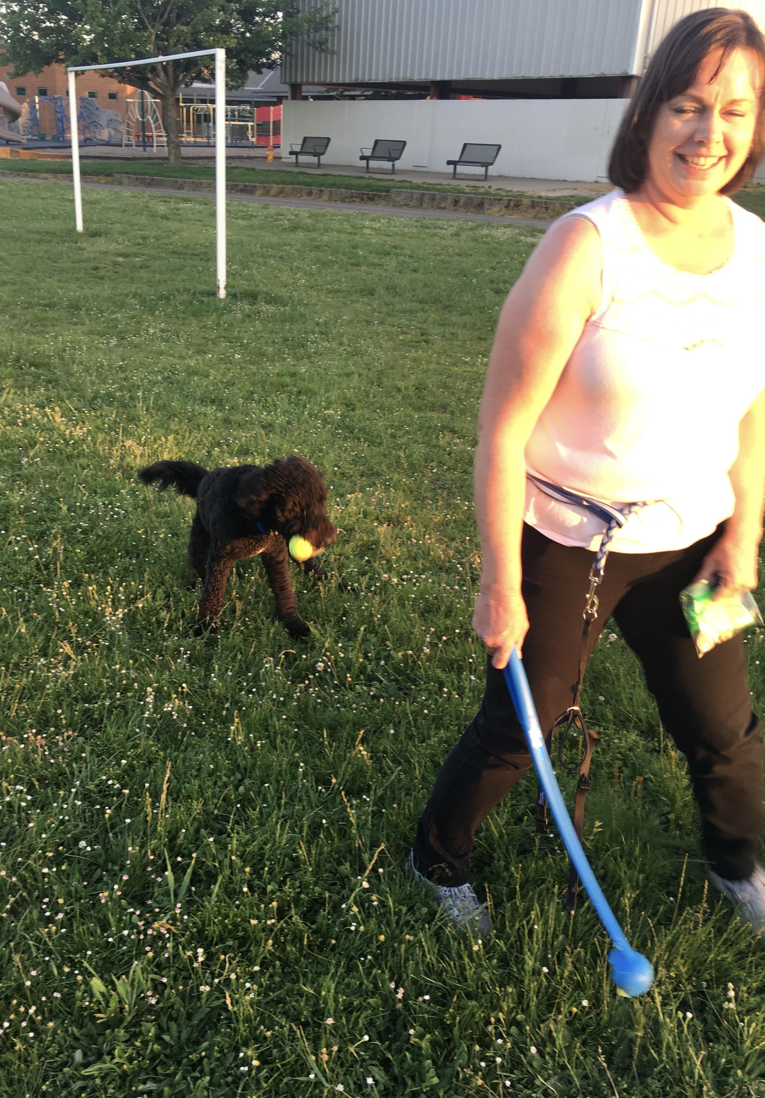 A walk with the dogs