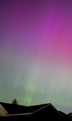 Northern Lights - photo by Su…