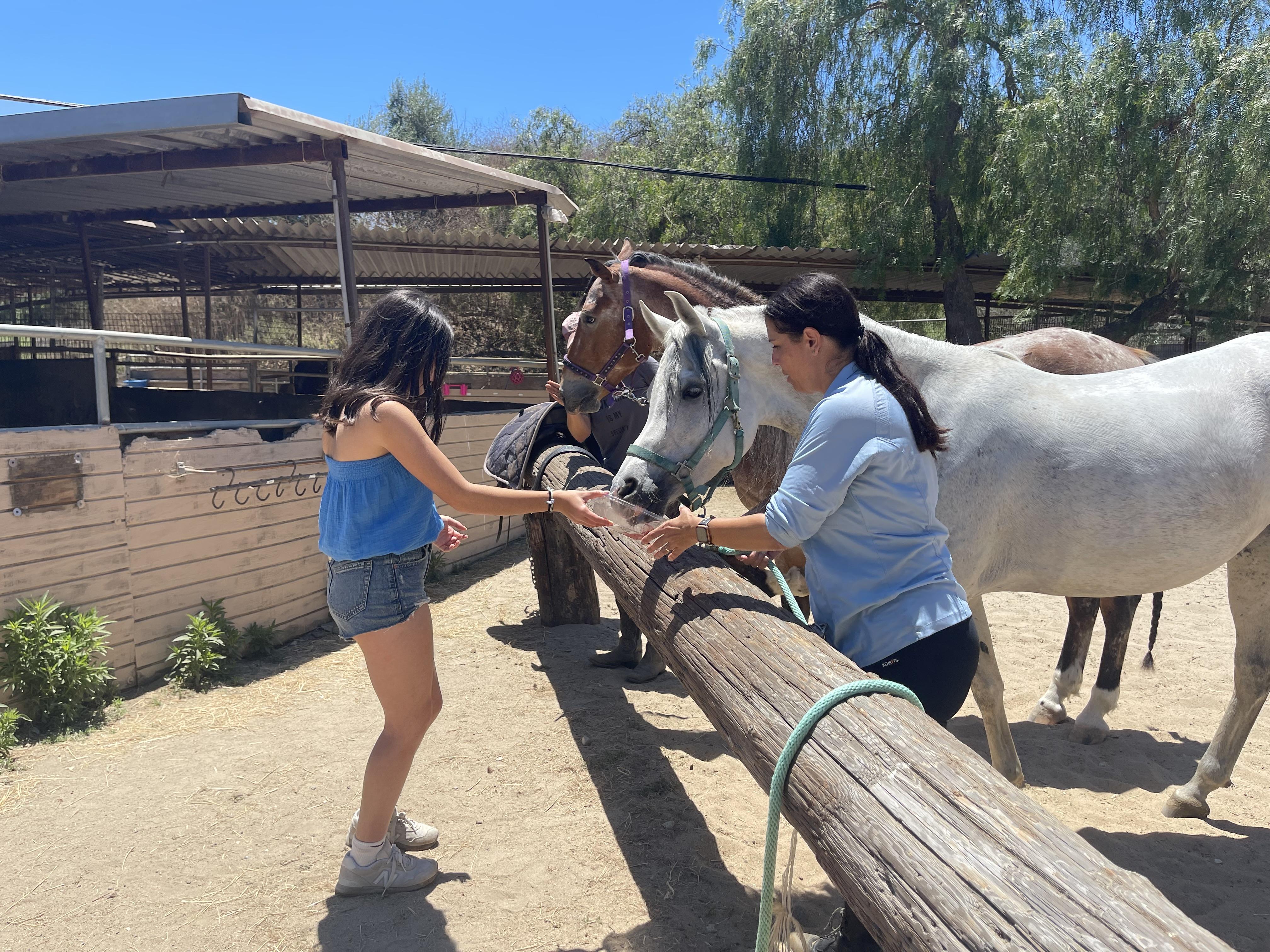 At the stables with Luna