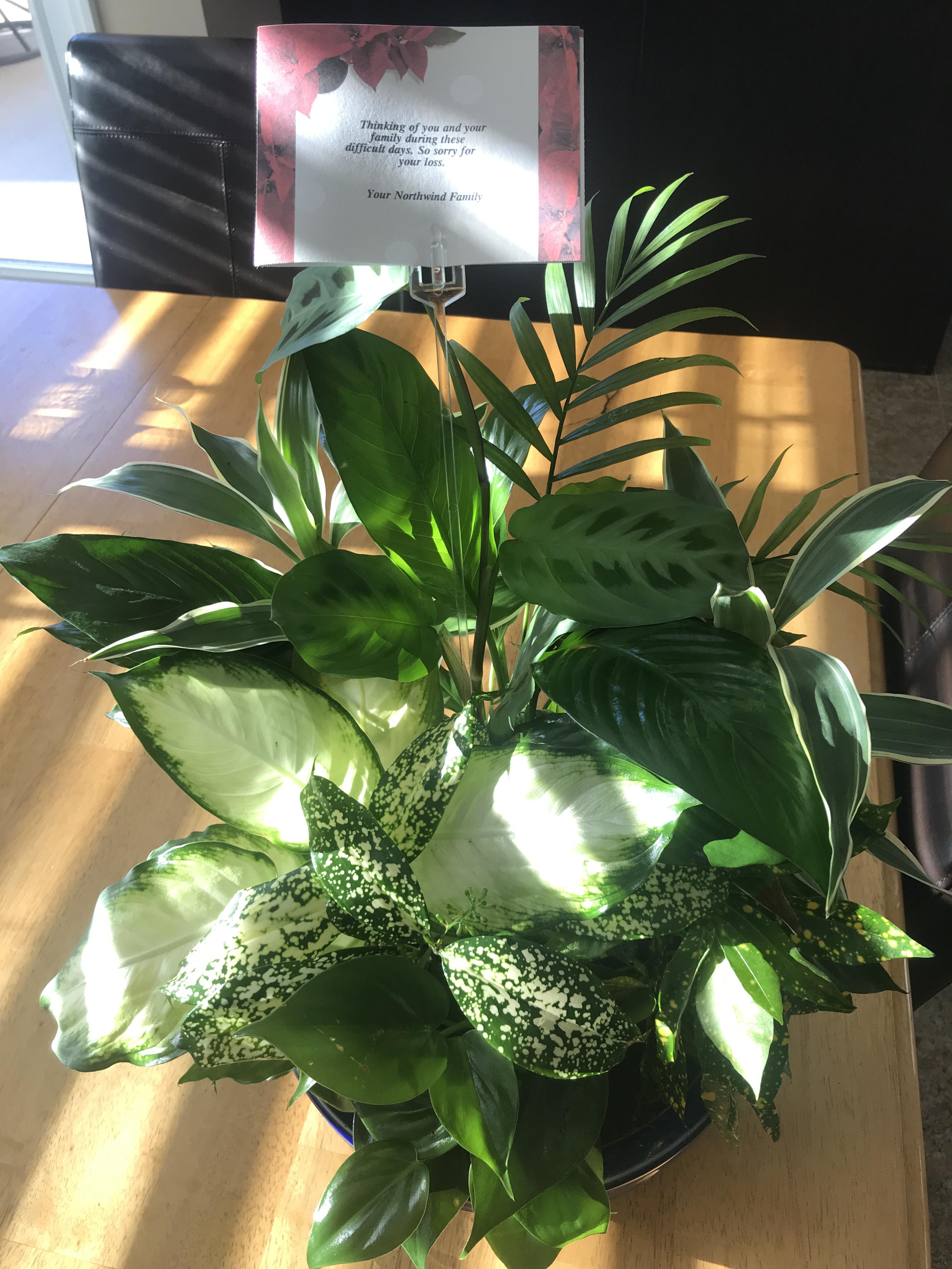 Thank you  Northwind Group fo…