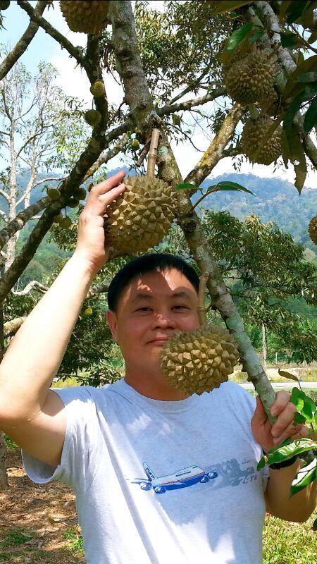 Visit to the durian farm
