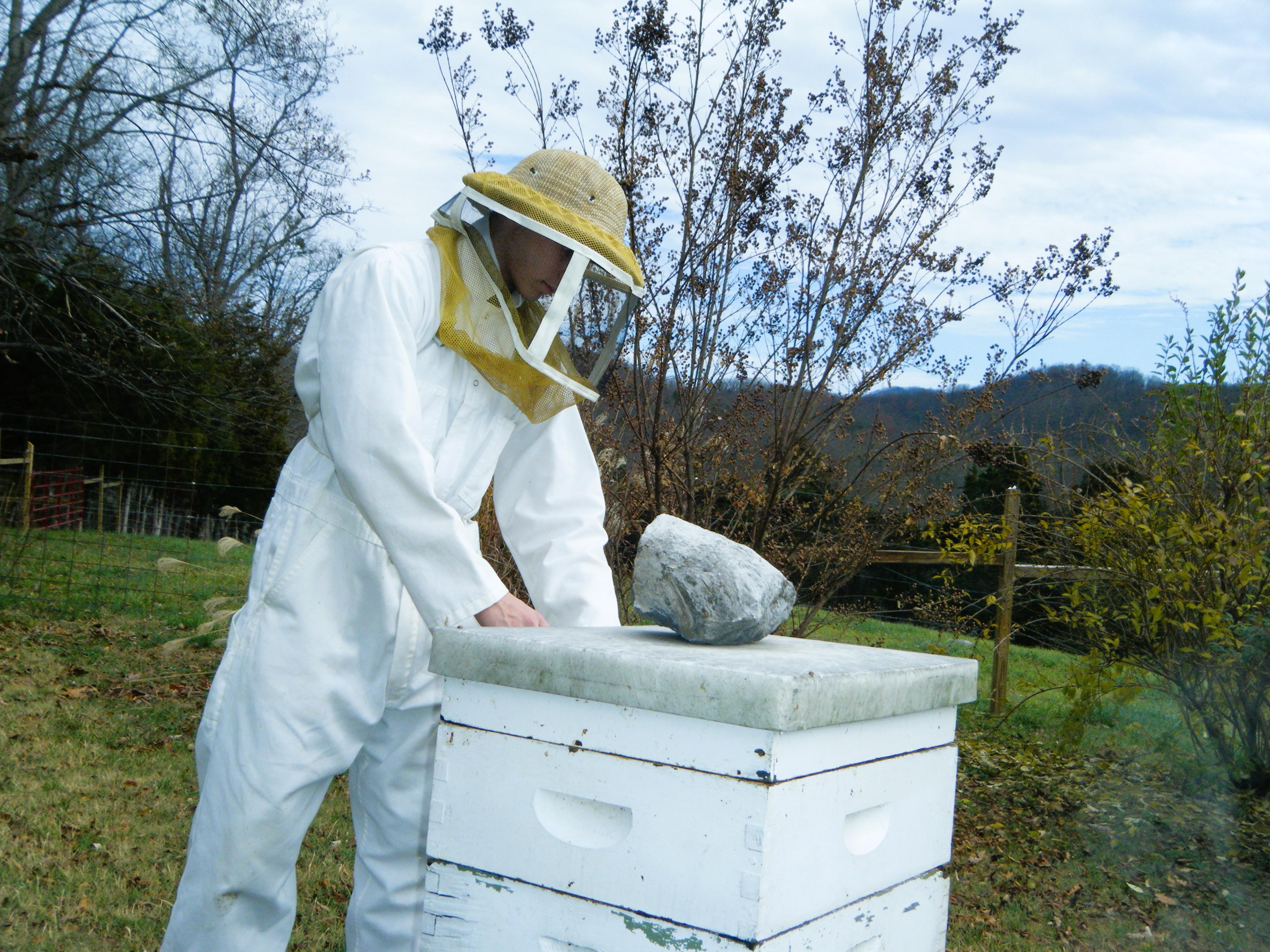 Beekeeper apprentice