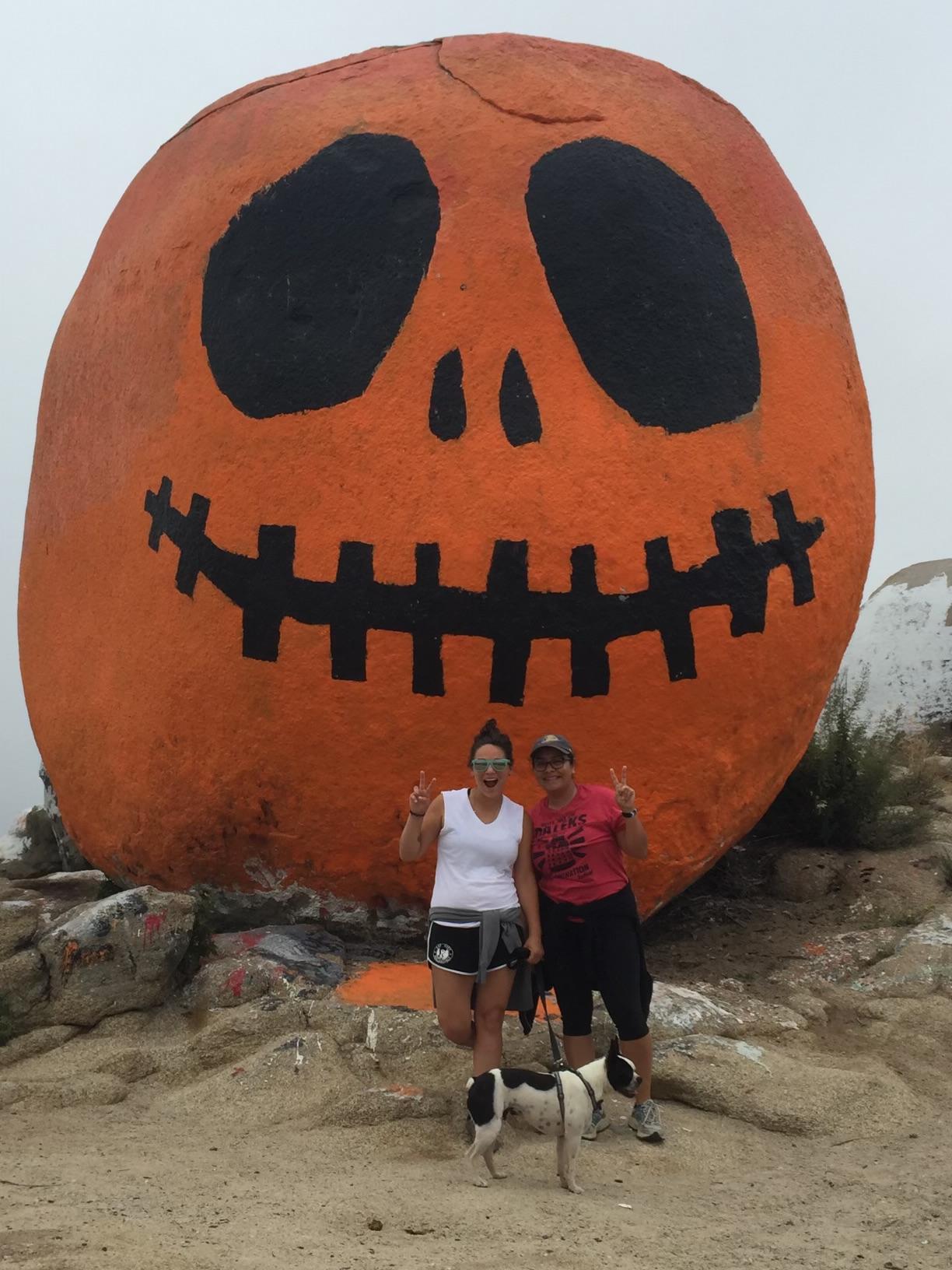 Pumpkin Rock!