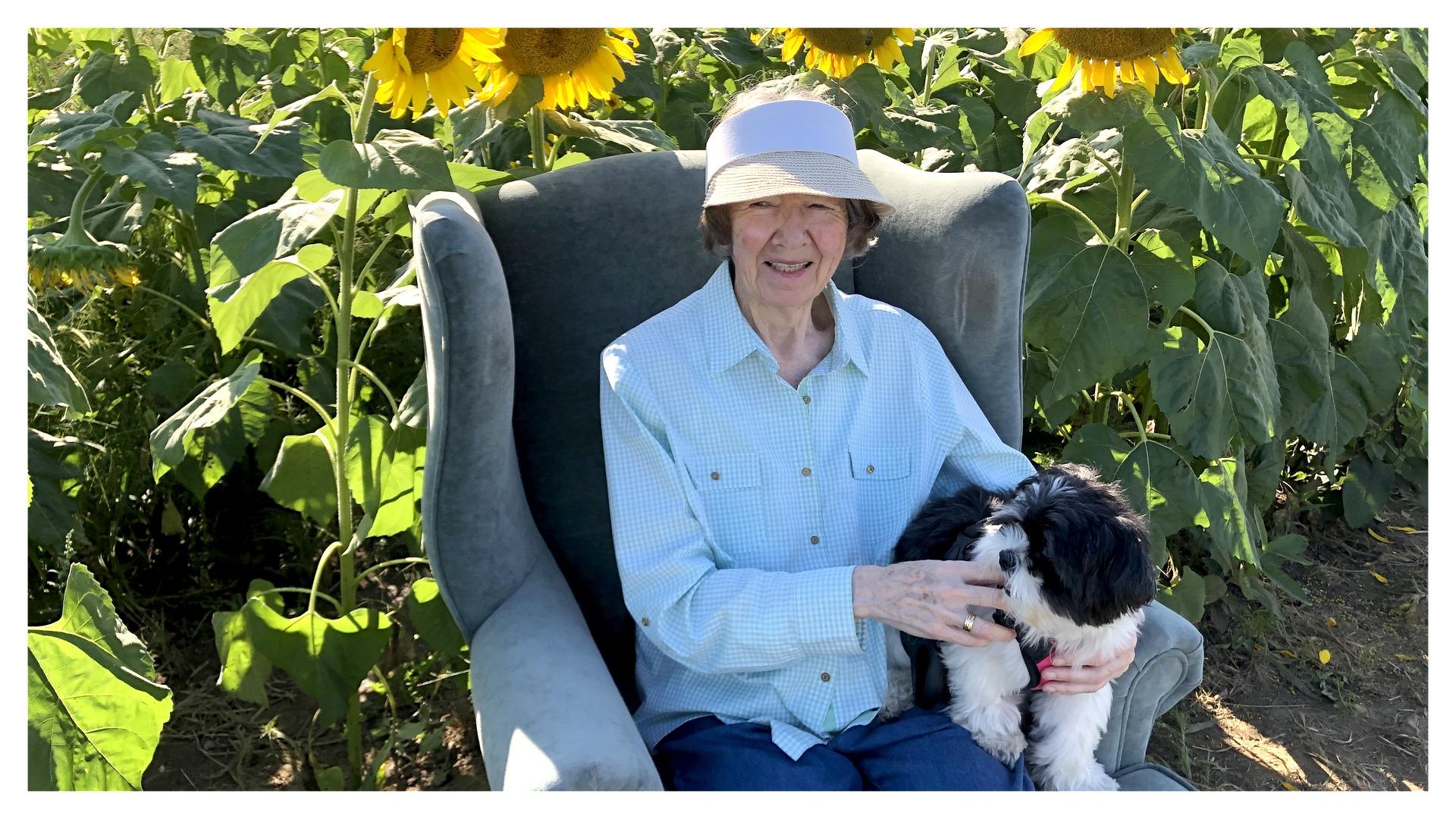 Sunflower Sanctuary Farm