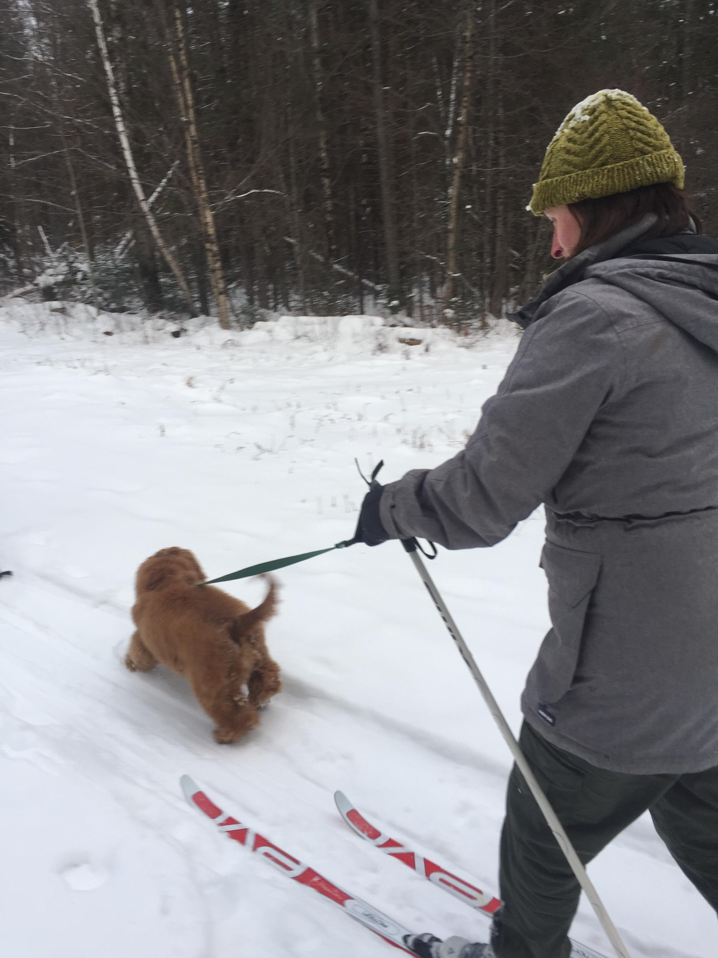 Ski Joring with Fairbanks