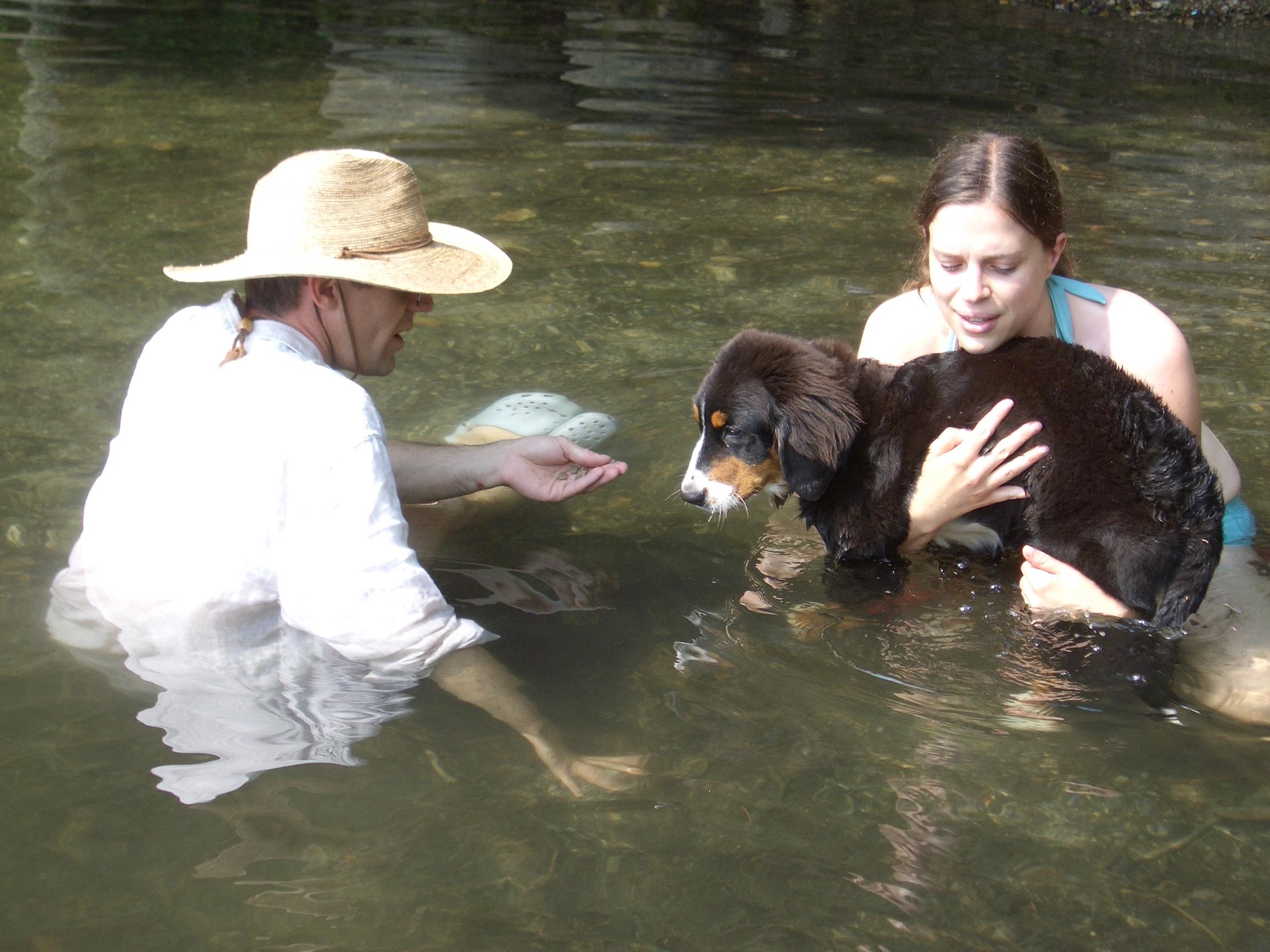 Ursa's first swim