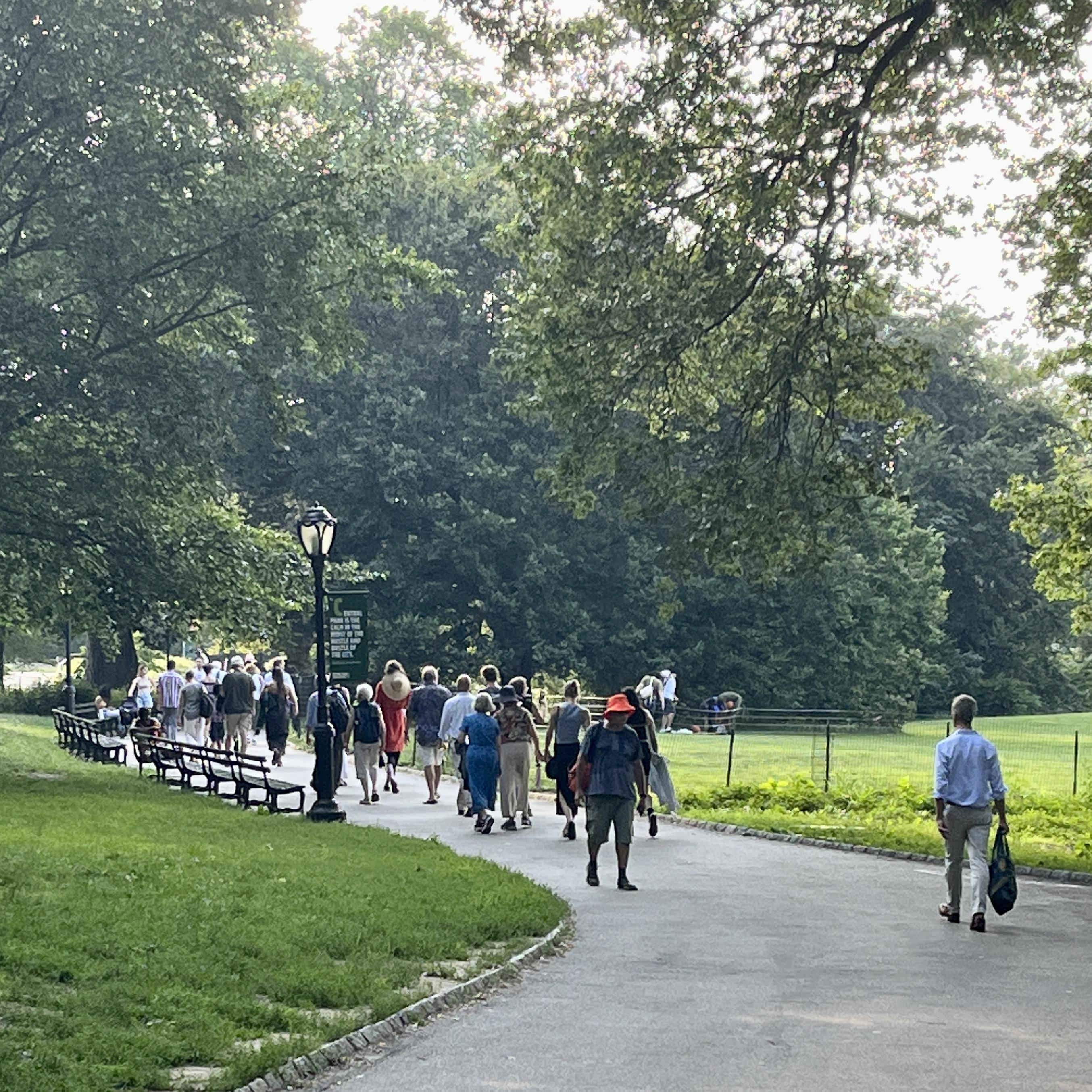 Walking to David’s Bench in C…