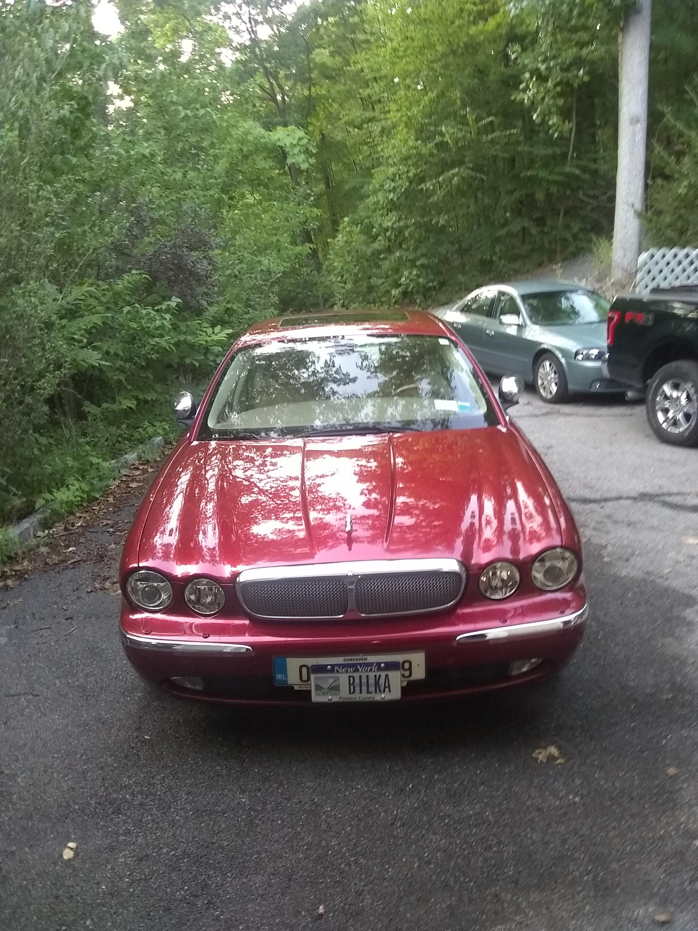 Kitty went for inspection and…