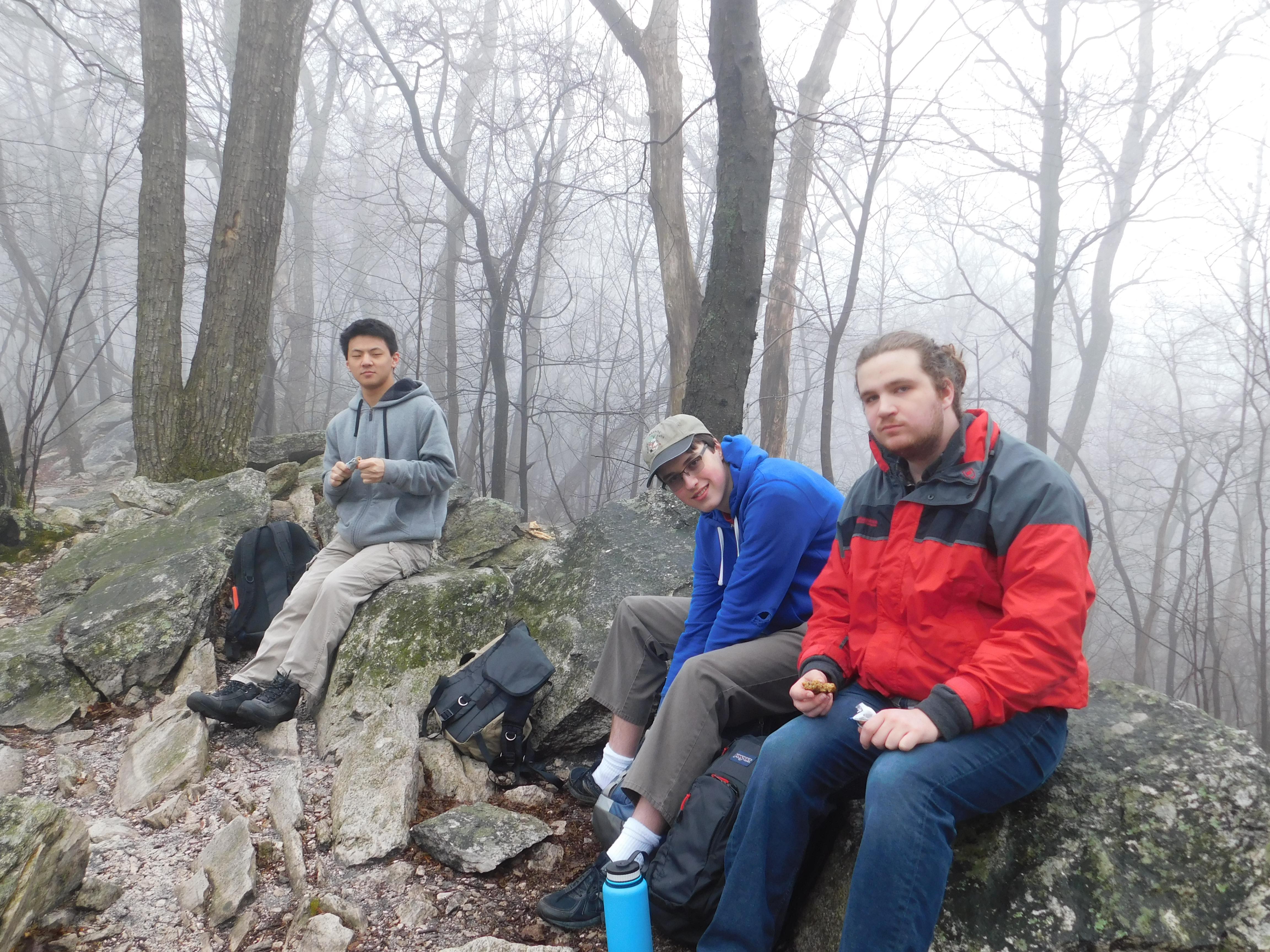 Max and friends on a hike