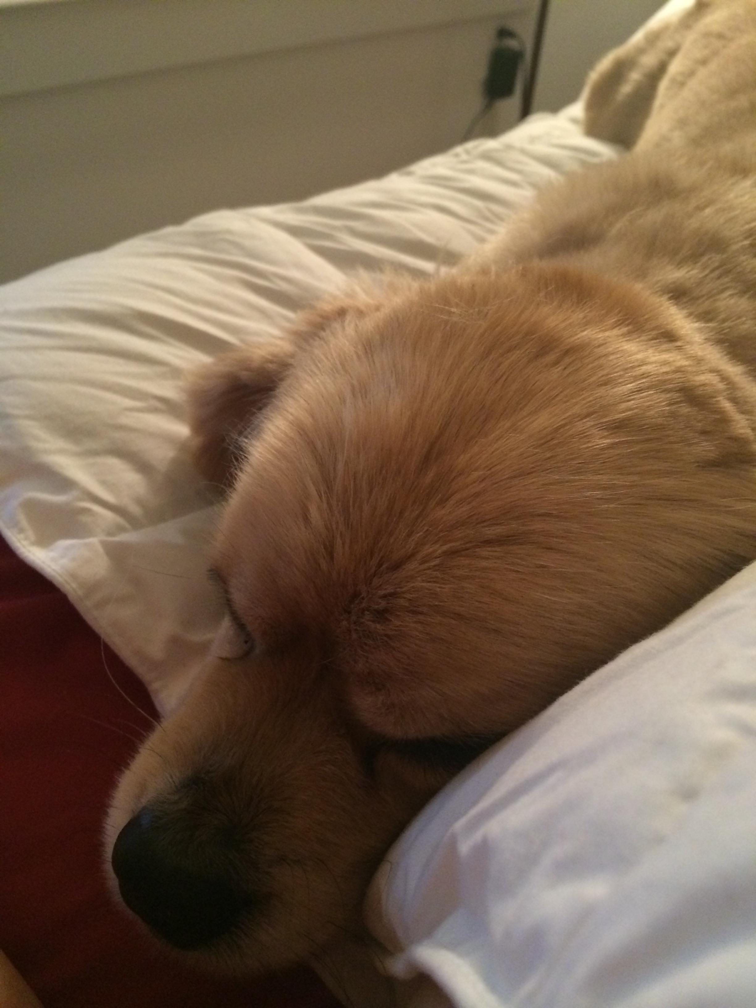 Sweet Little Angel