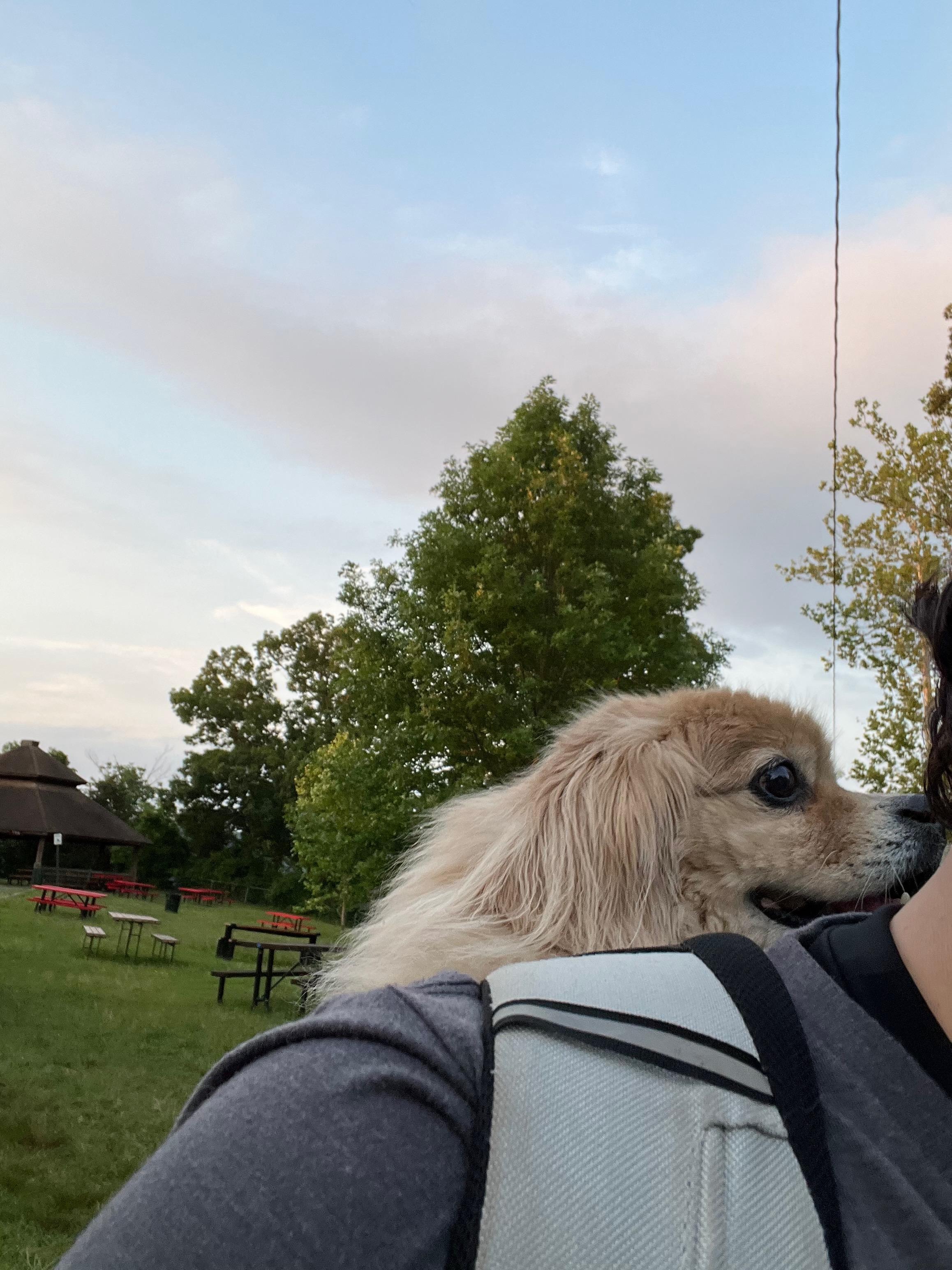 Can't Walk Far But Still Love…