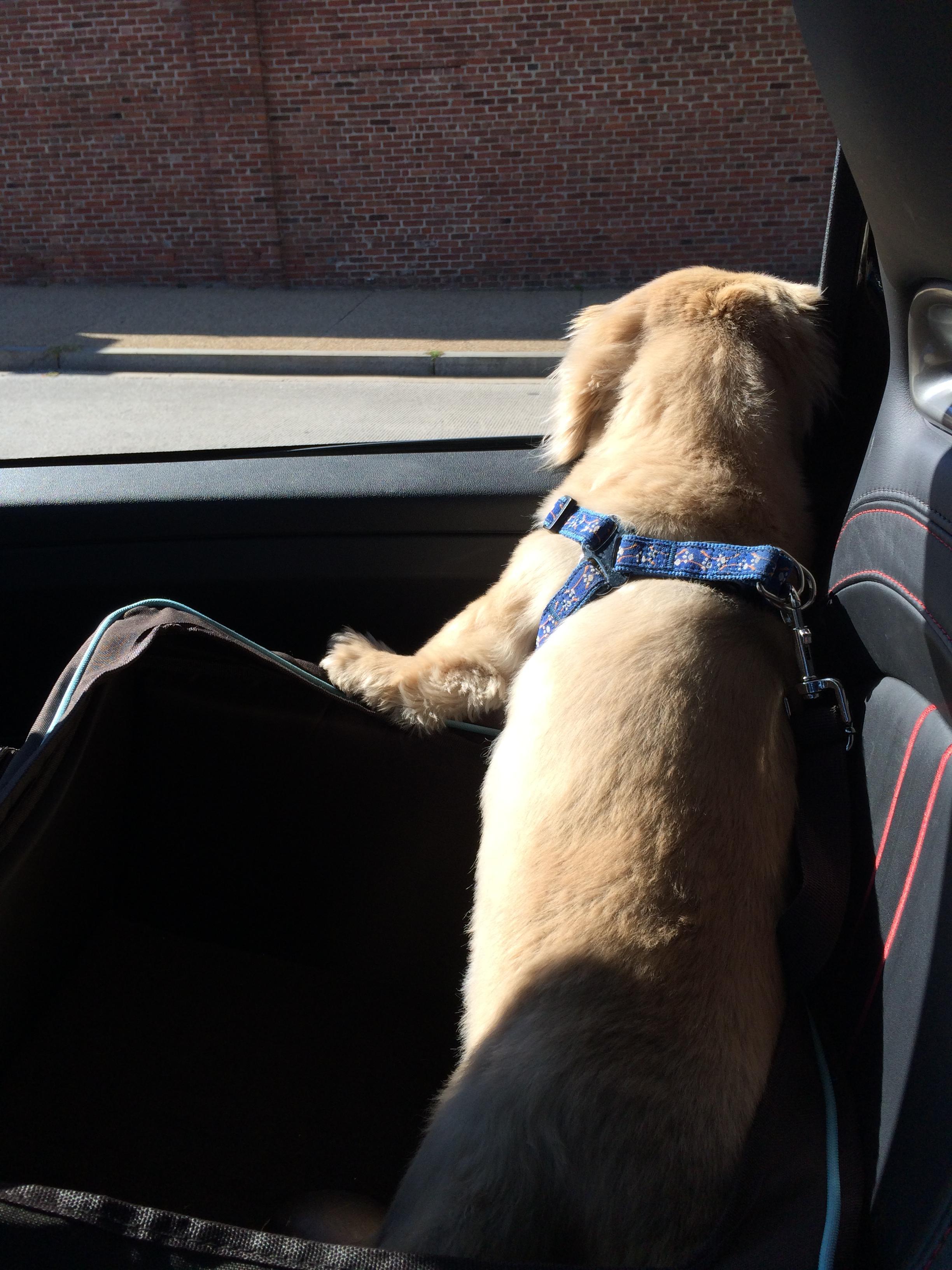 Road Trip!