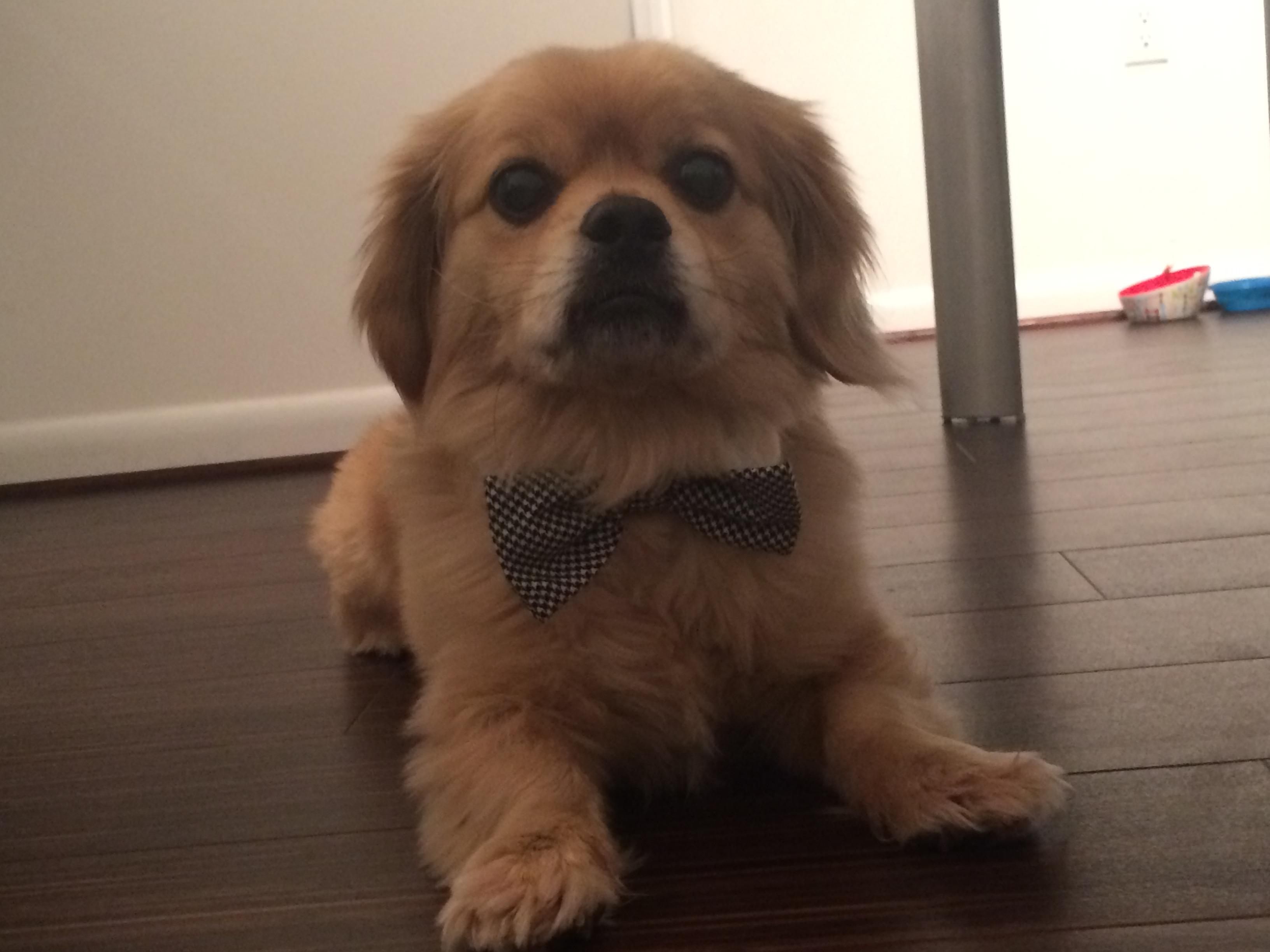 Ready to Party