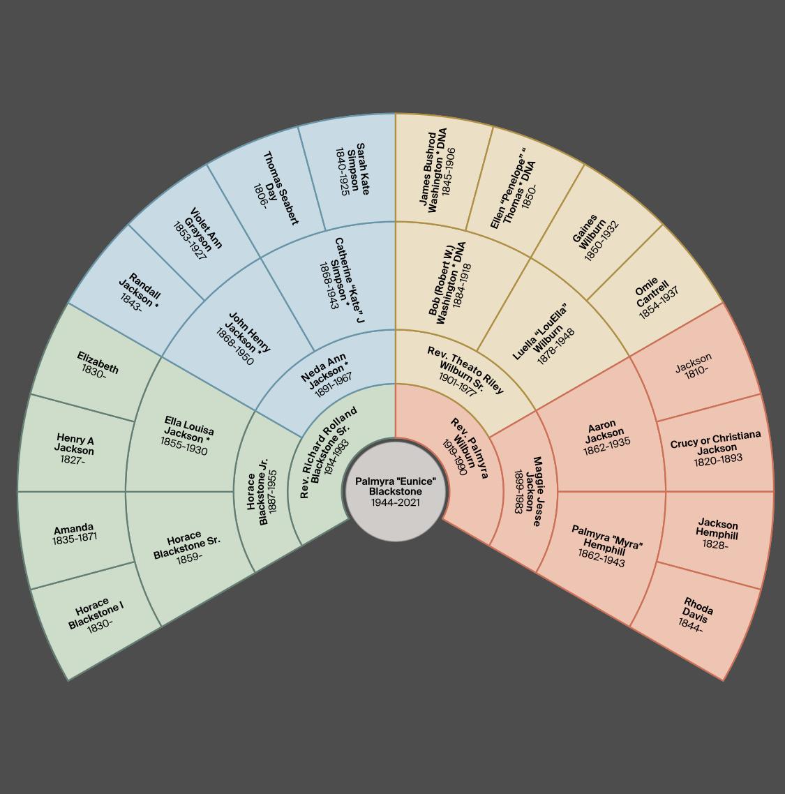 Mom’s Family Tree Fan
