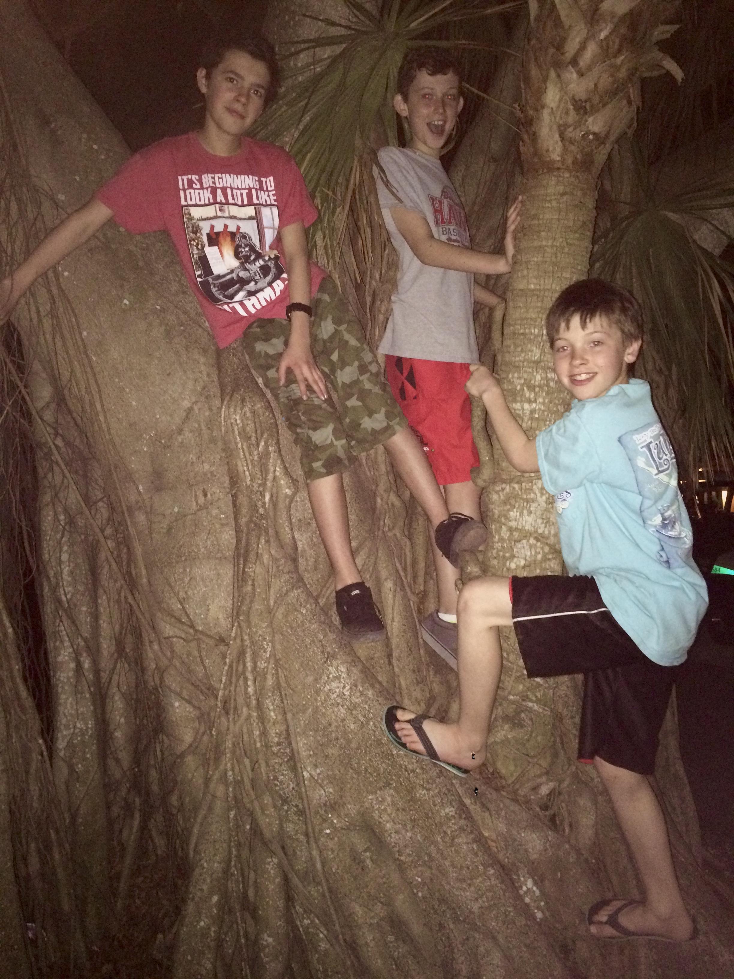 Climbing trees and messing ar…