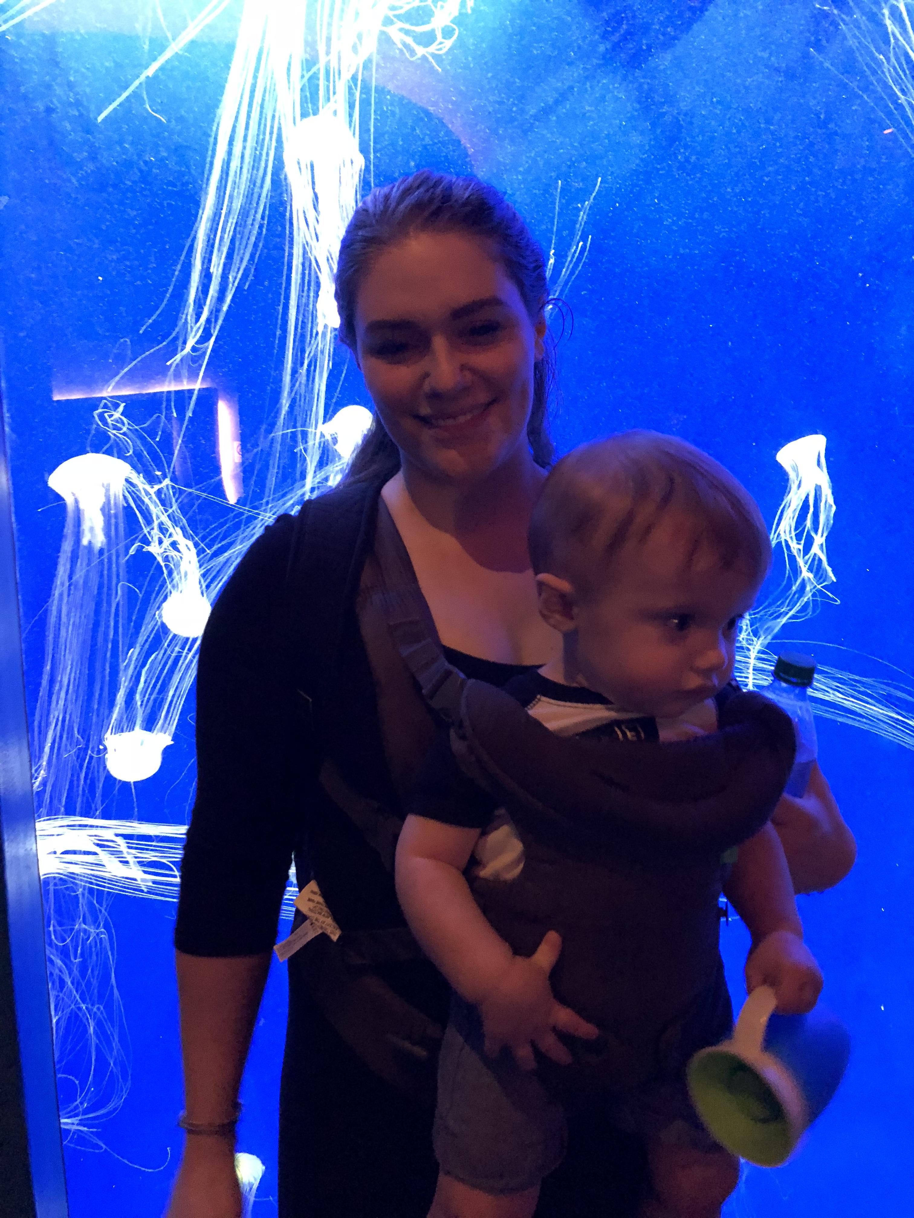 Trip to the Georgia Aquarium