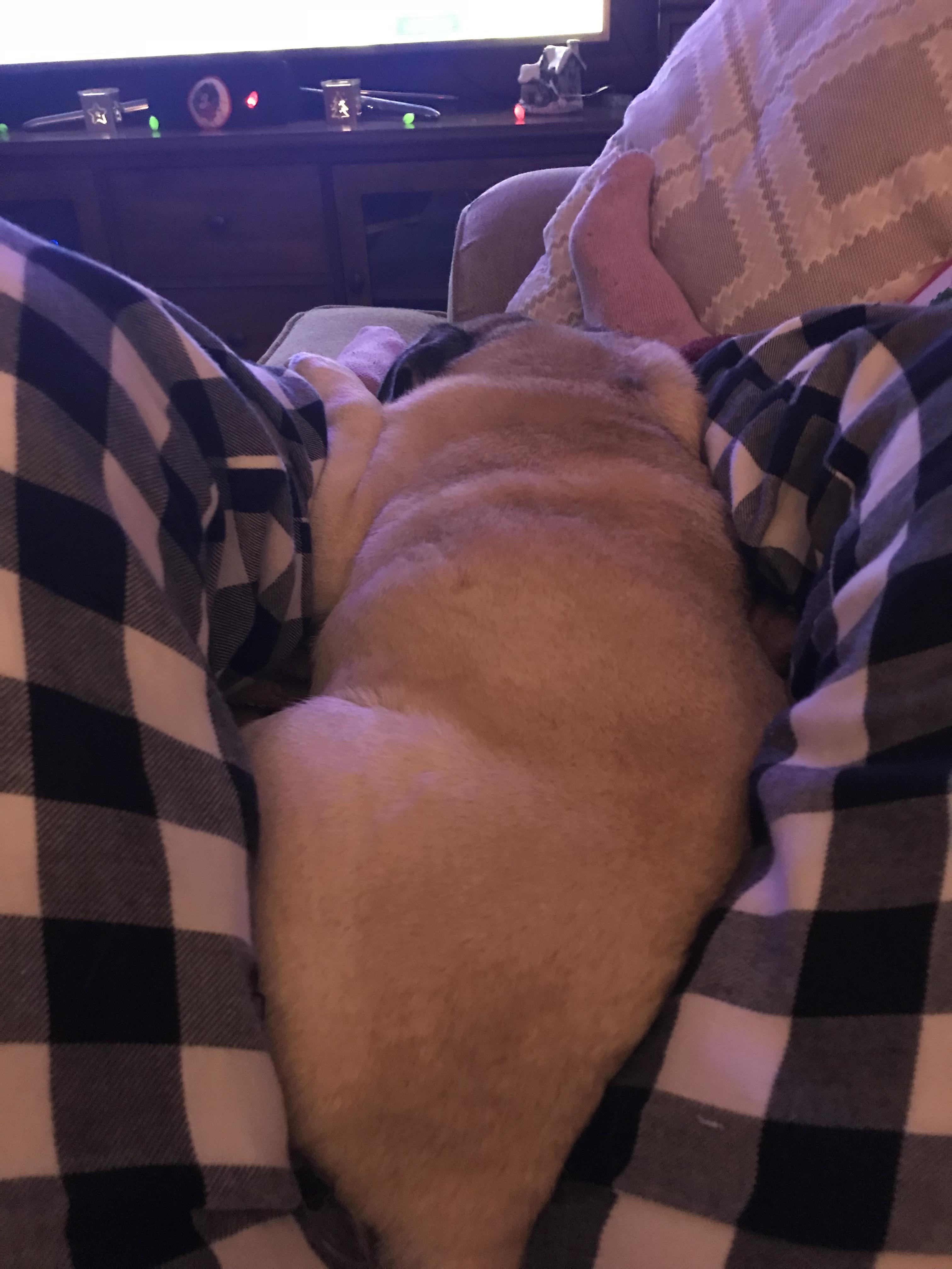 Lorie’s happy place, snugglin…