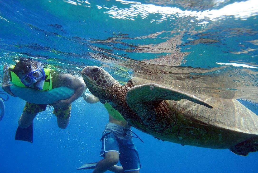 Ed and a sea turtle - he said…