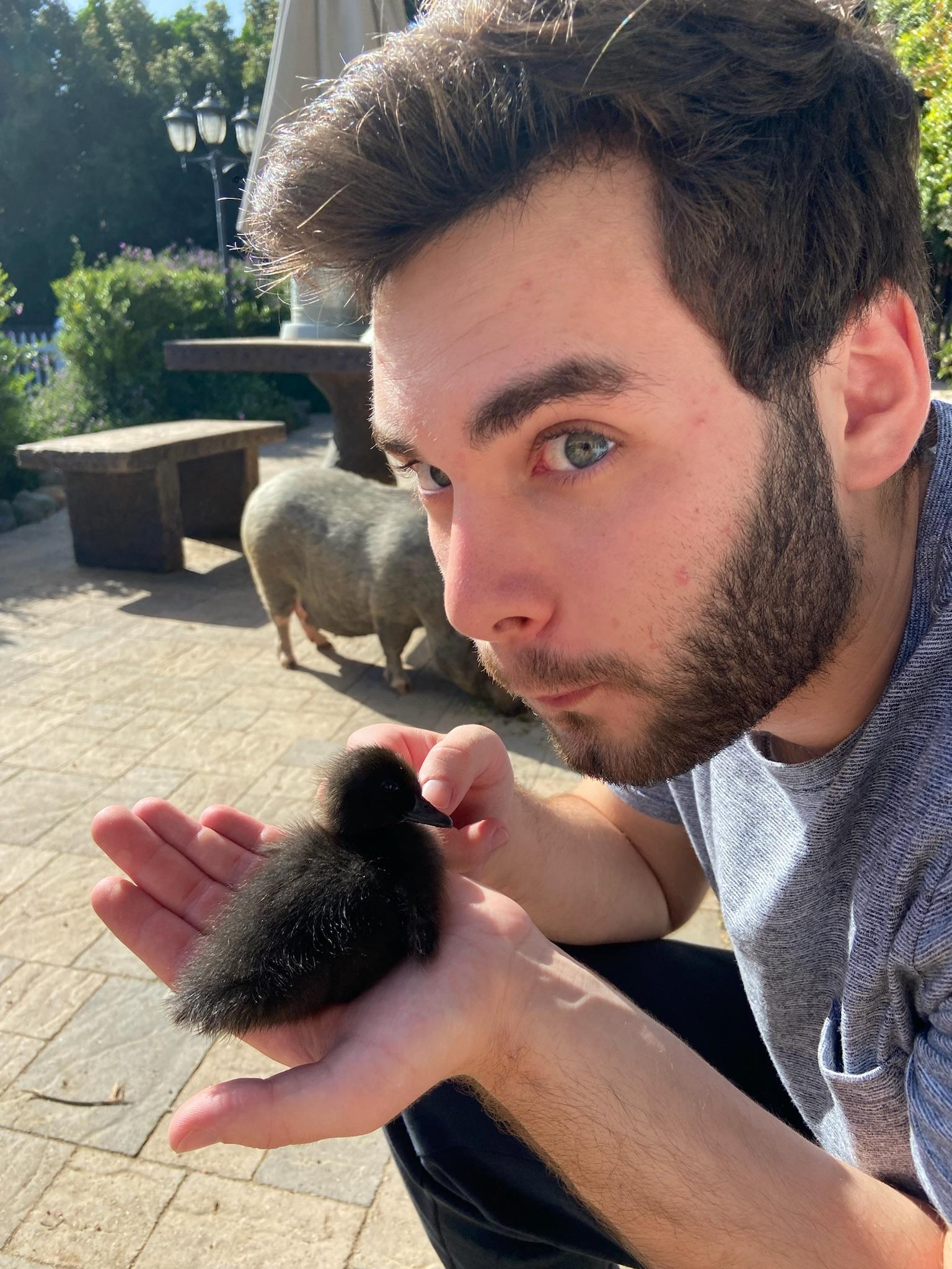 Michael’s mom had ducklings f…