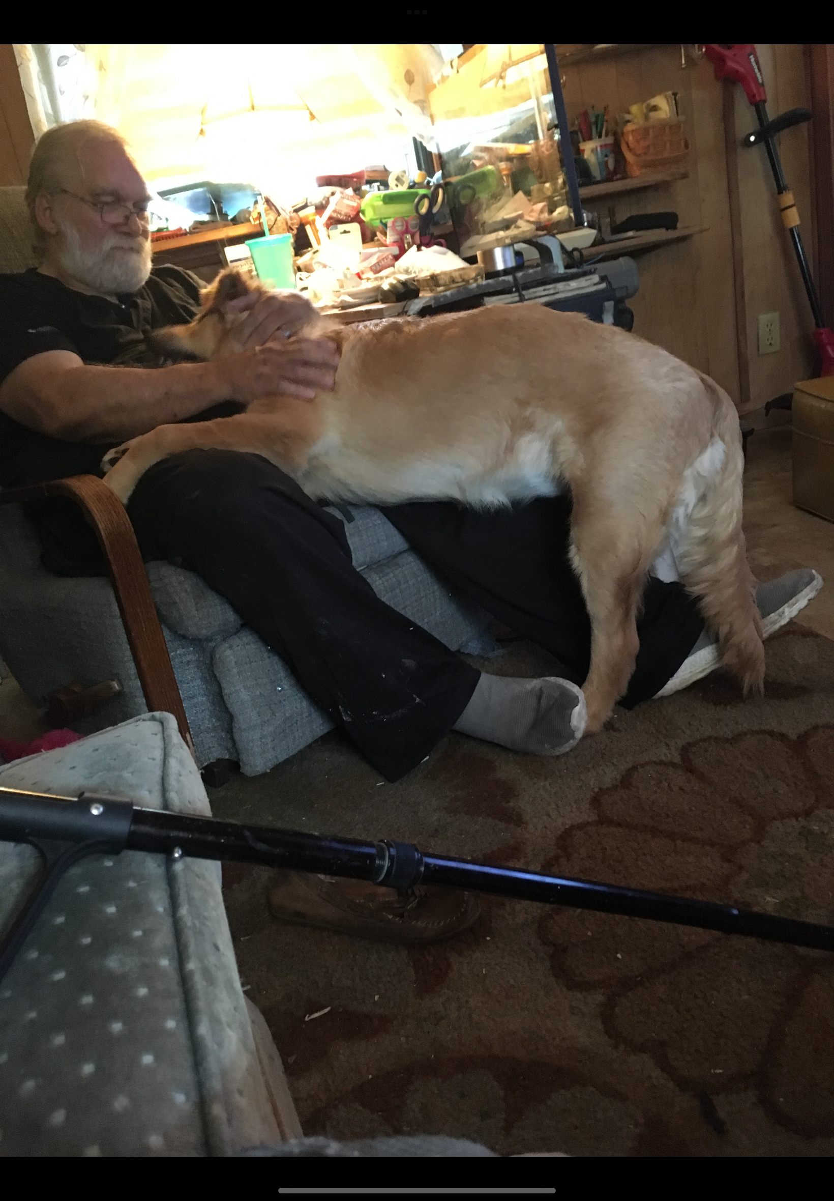 photo of Ted and Rosie after …