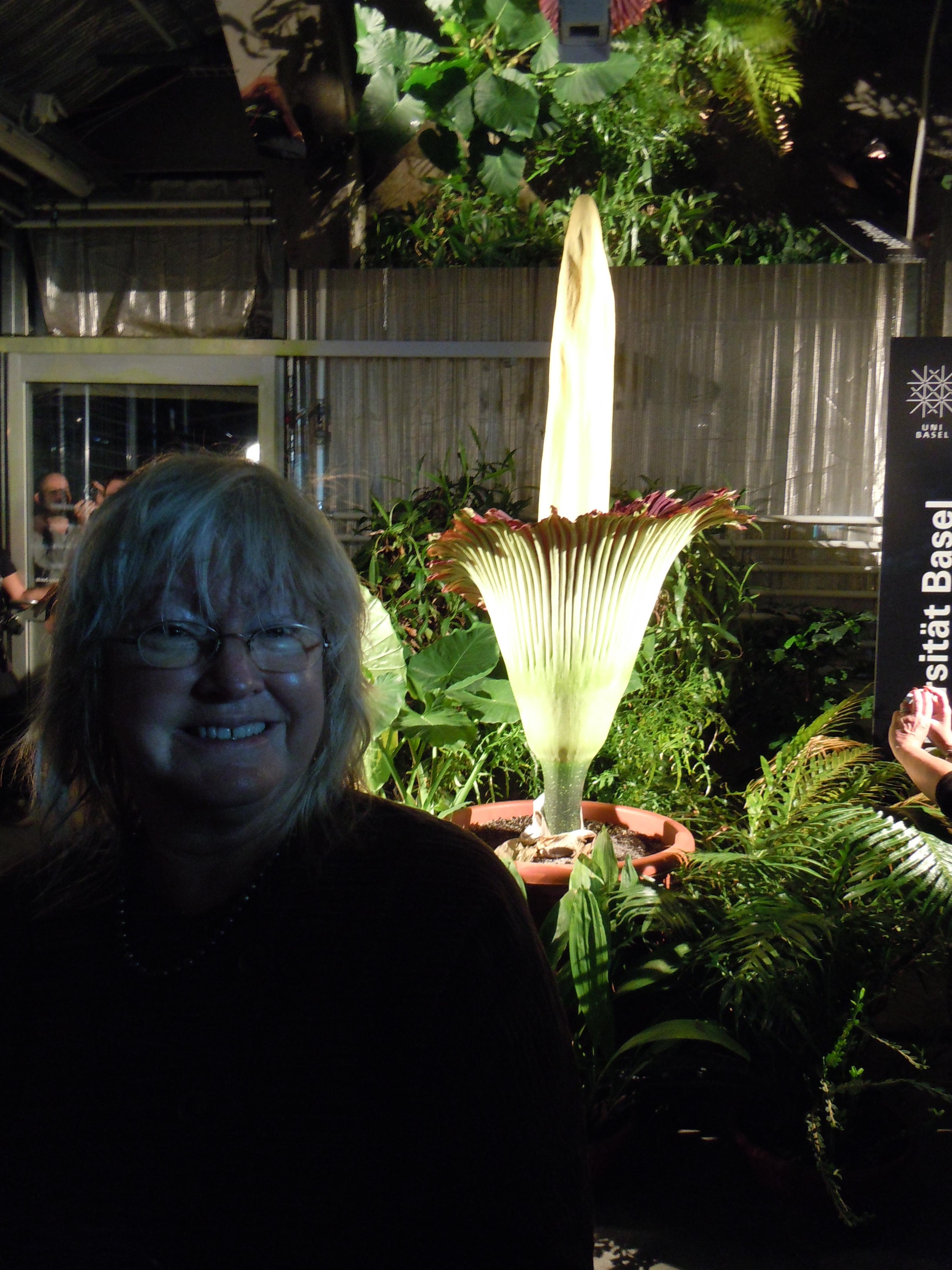 Going to see the Titan arum t…
