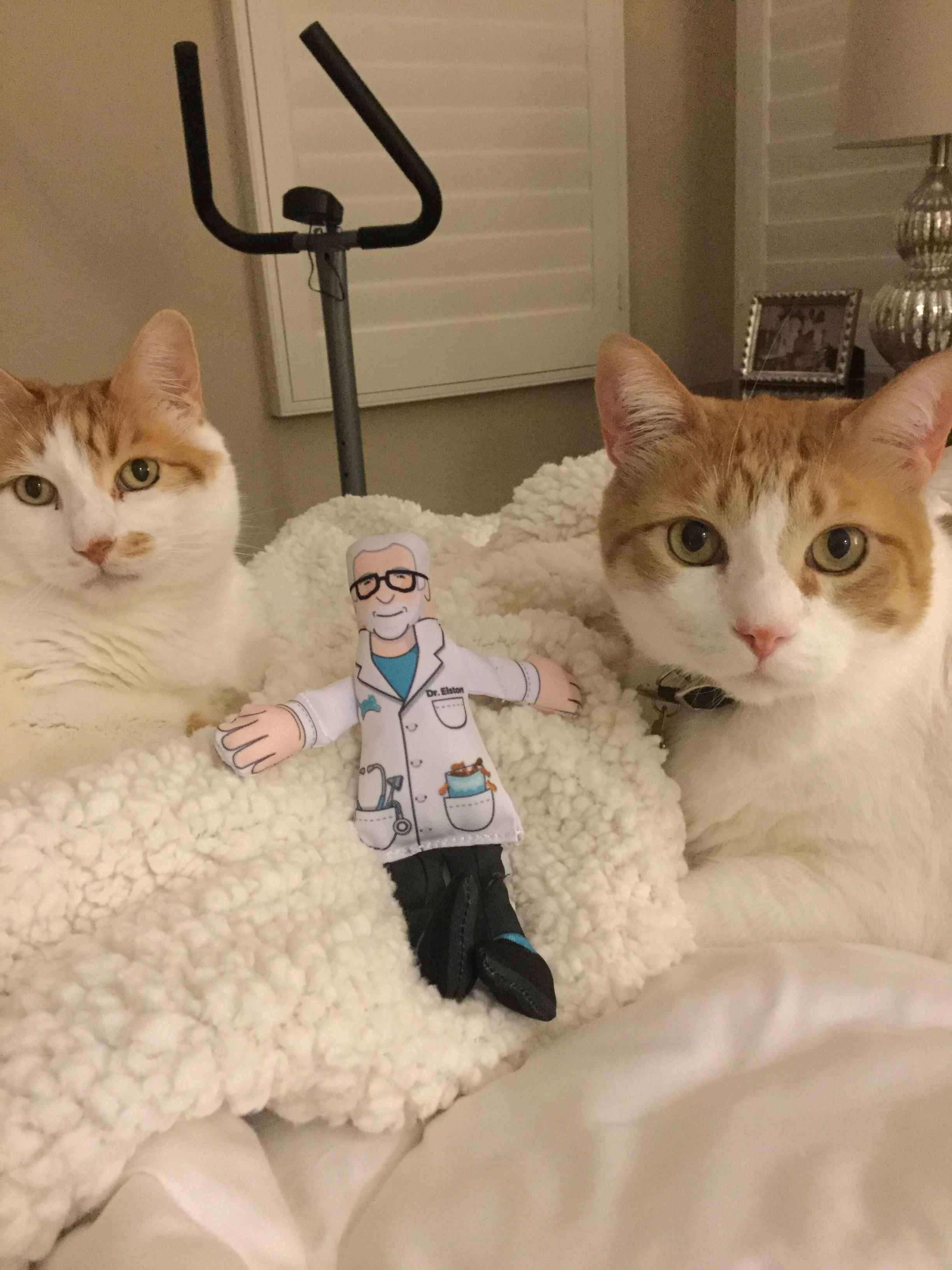 Happy boys with their new Dr.…