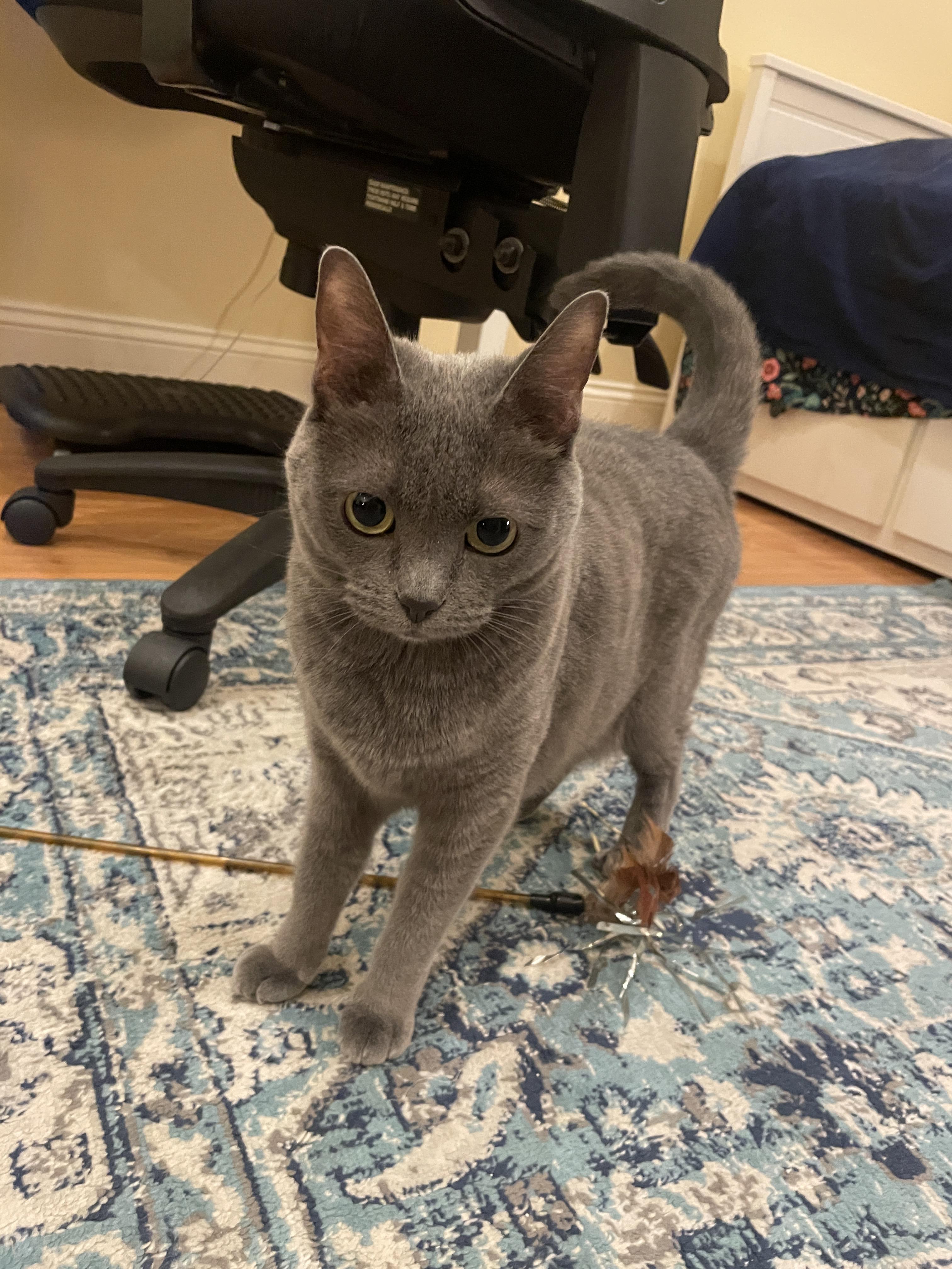 Lucy our mom Sandy Krogh’s ki…