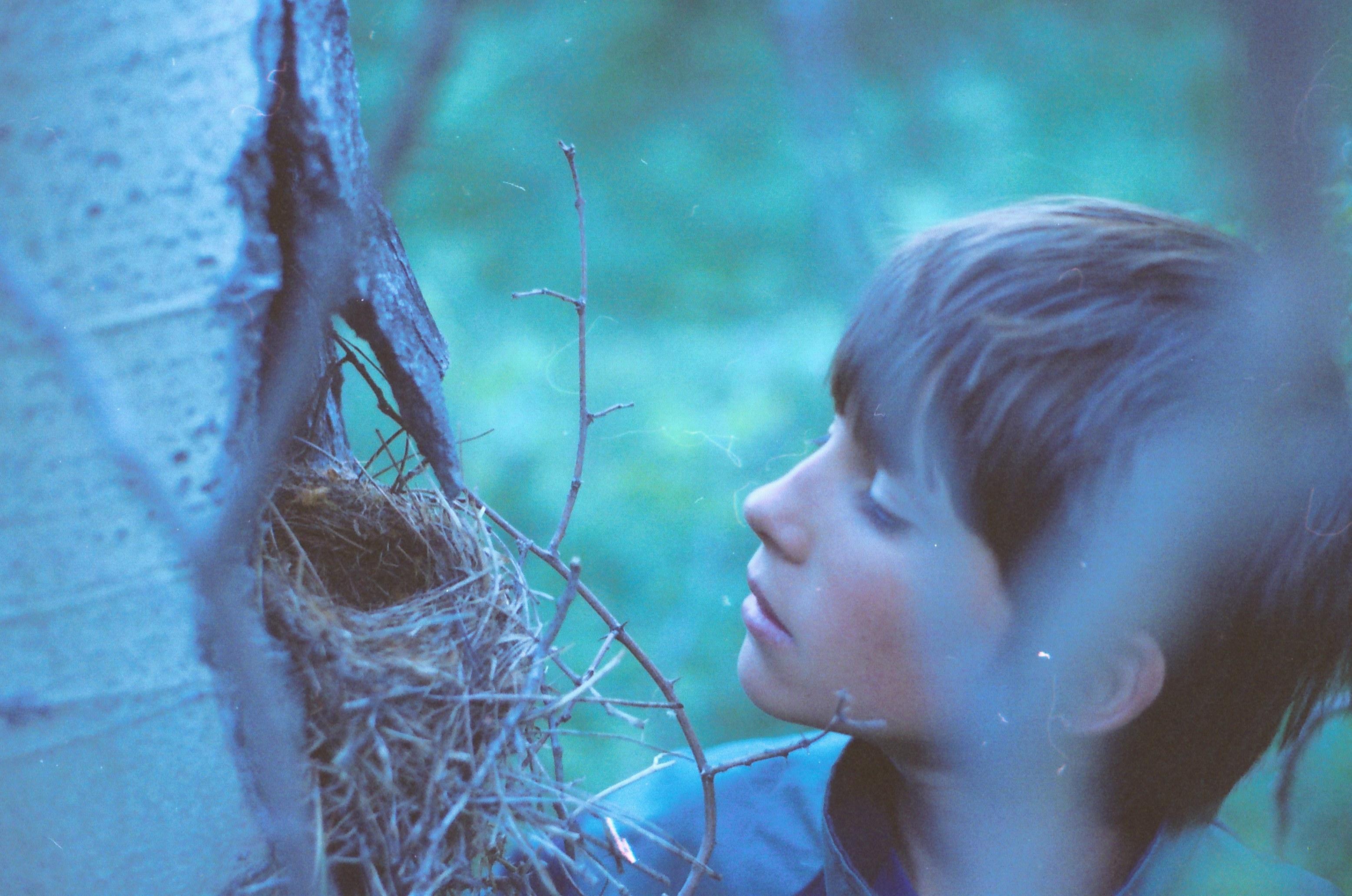 Nathan (age 12) exploring a b…