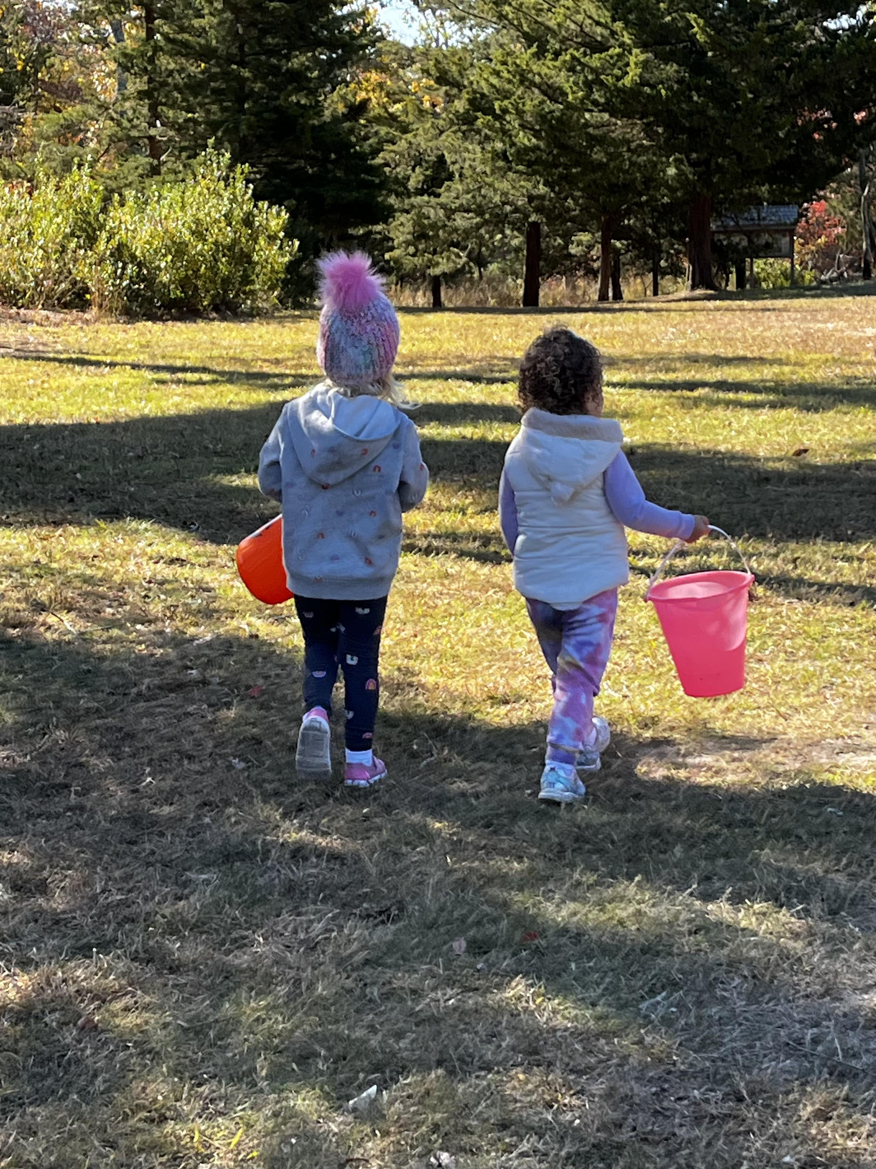 Tiney Pinys nature walk