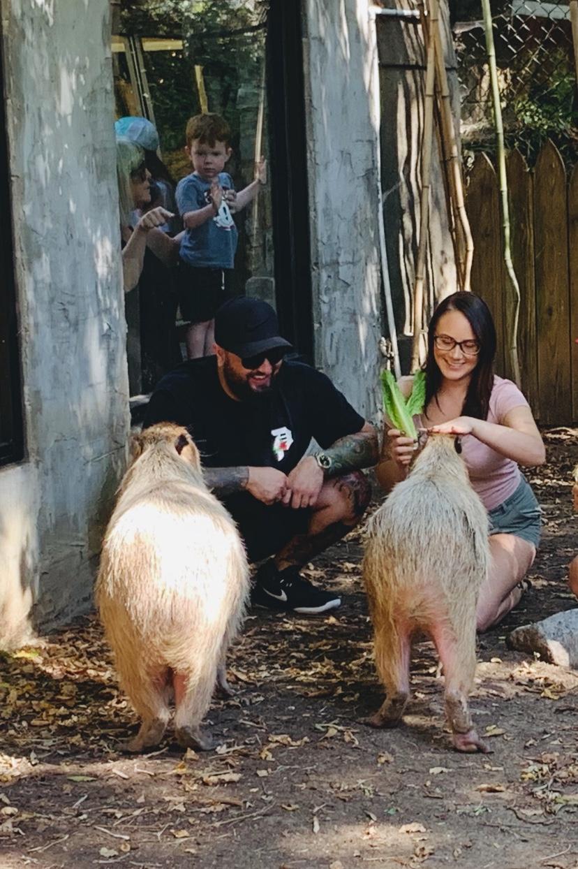 Capybara encounter 🩷