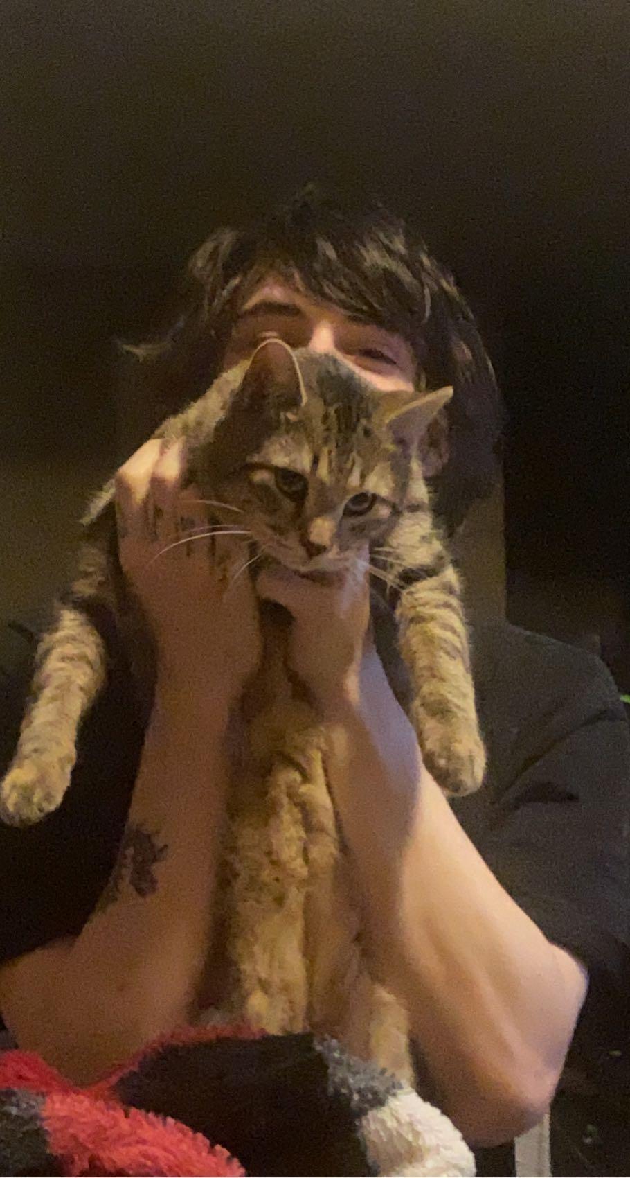 jake with nyssa