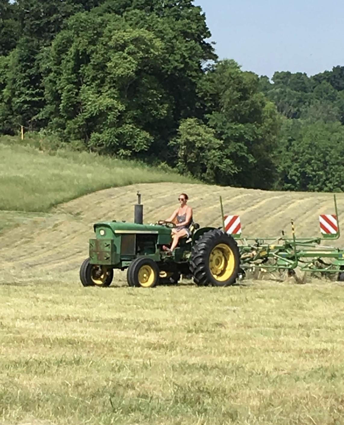 Helping make hay while the su…