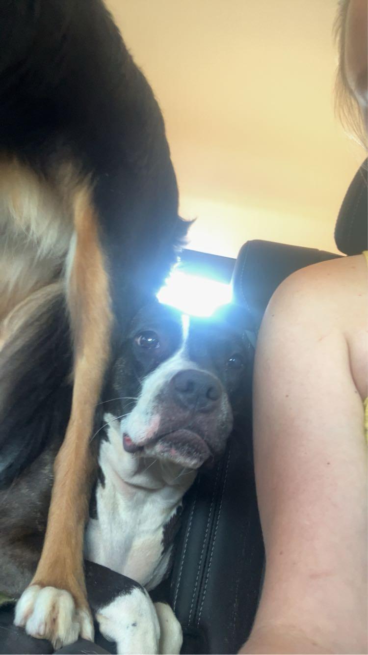 Squish but she loved it 🥰
