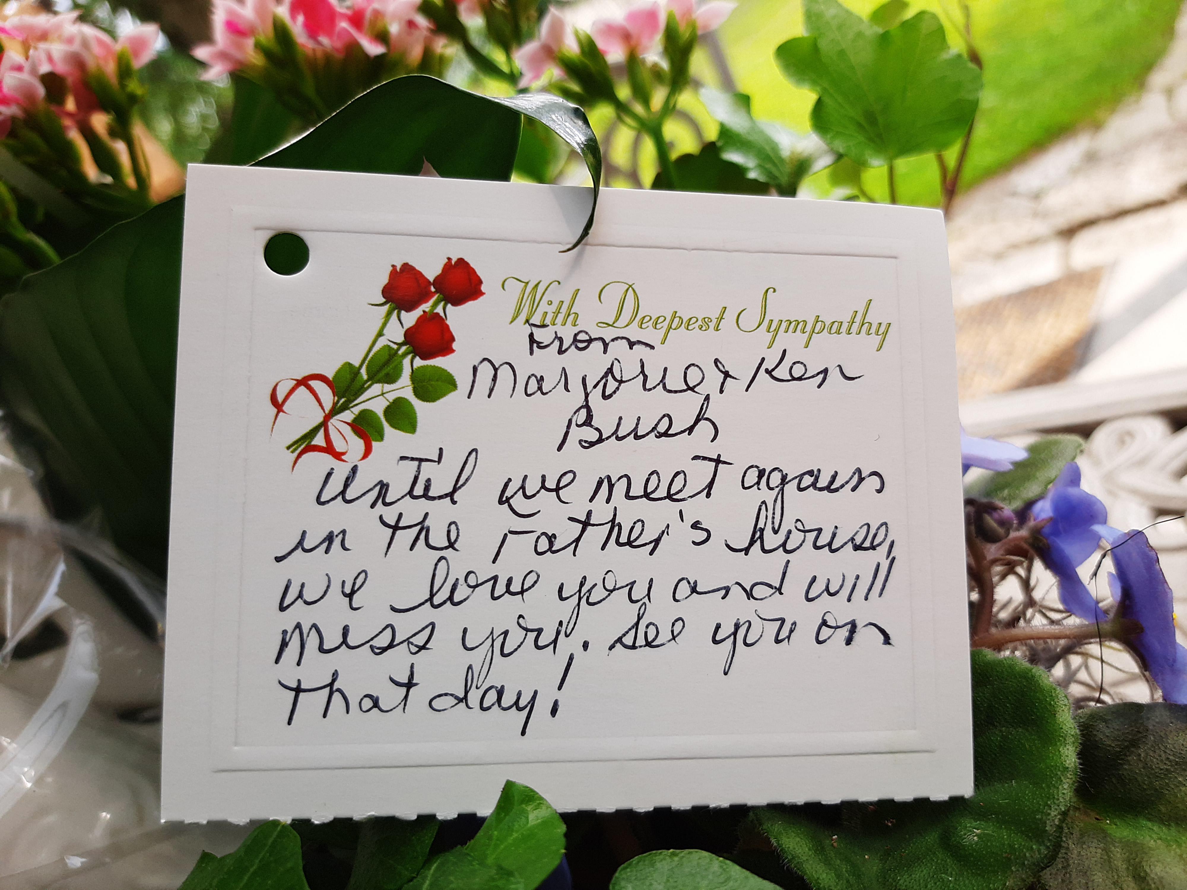 Flowers from the Bush Family