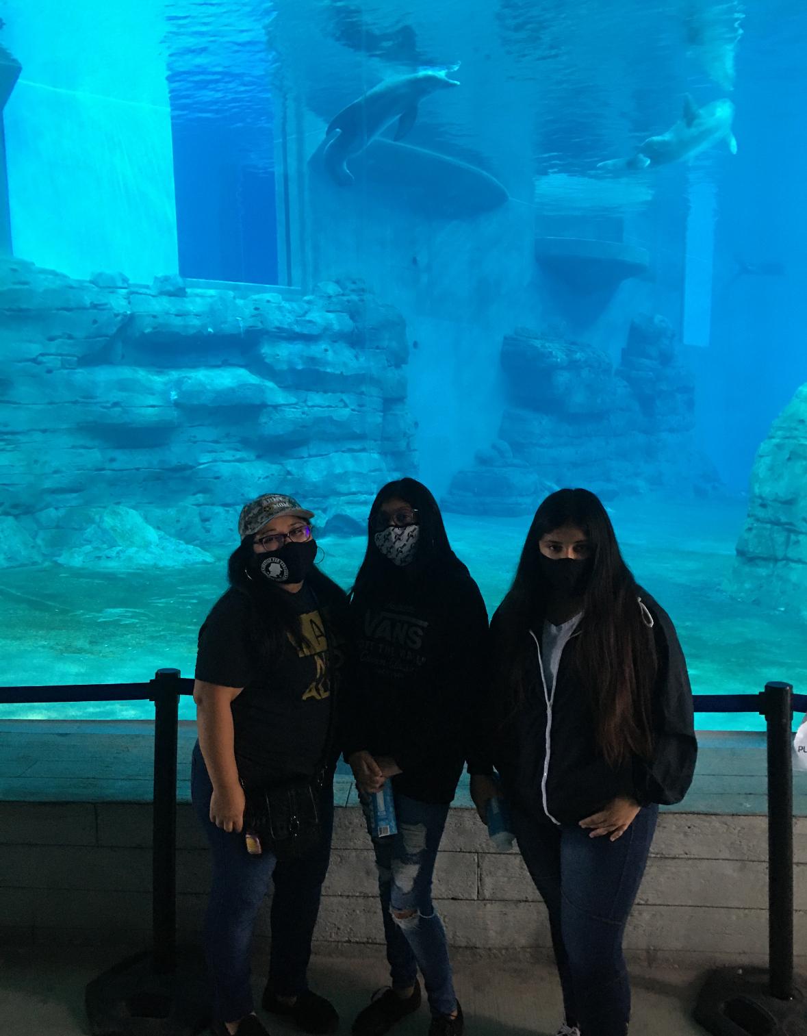 Winter and the family