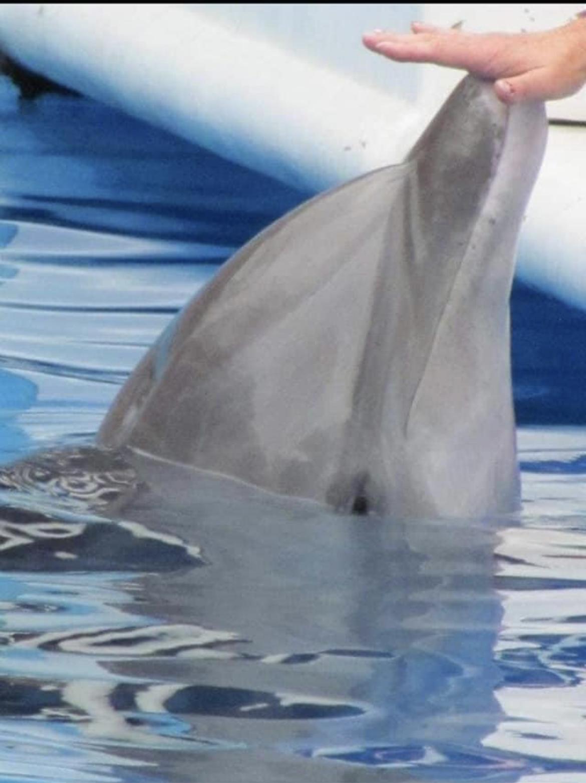 A trip to the aquarium for my…