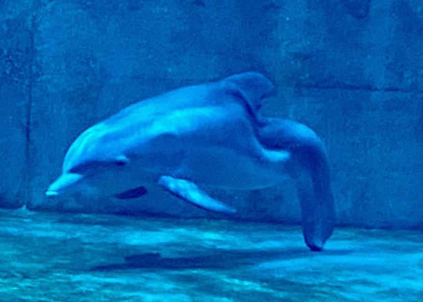 Our annual visit with Winter