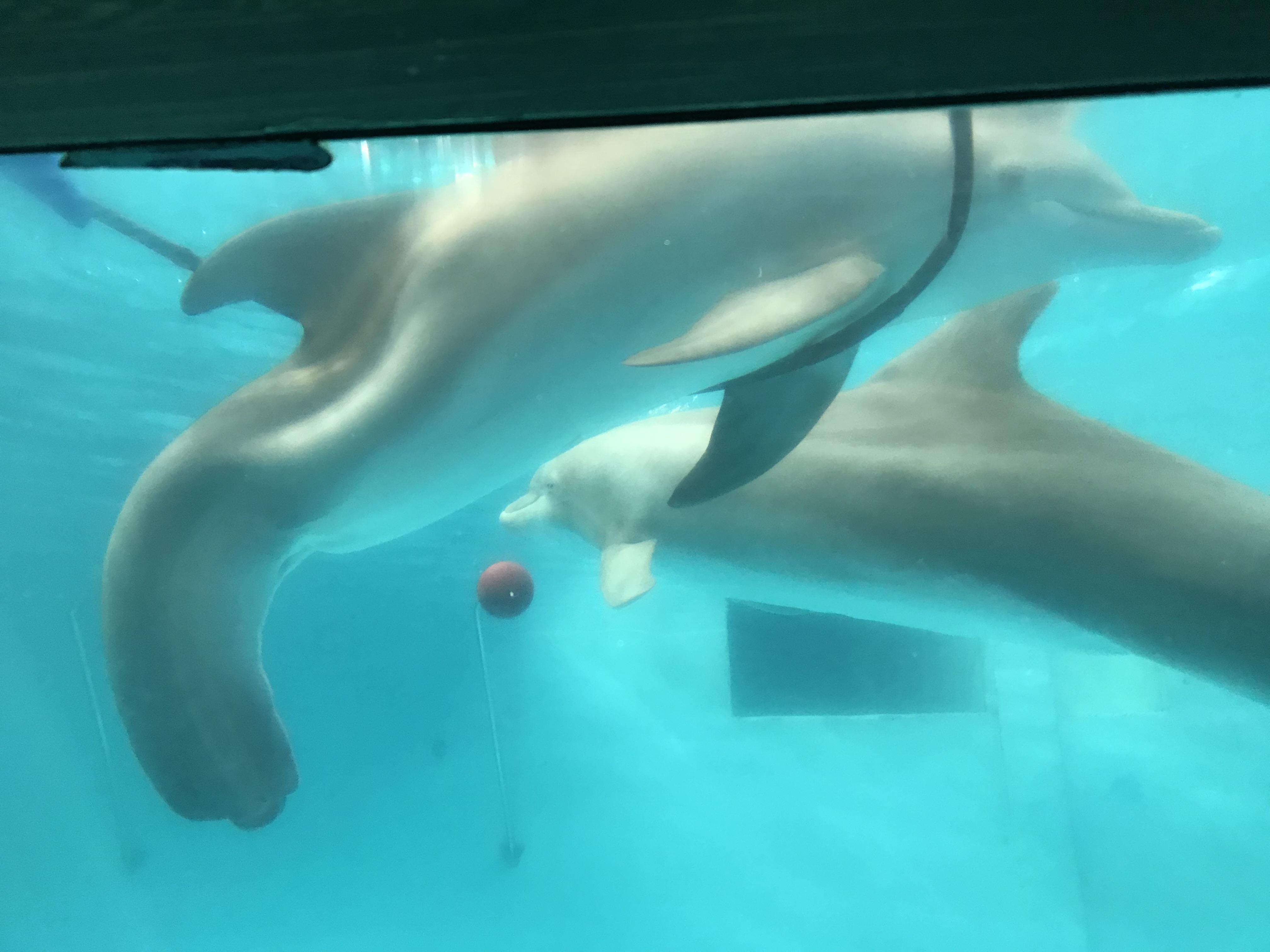 Our visit with Winter