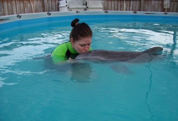 Winter arrives and steals all…