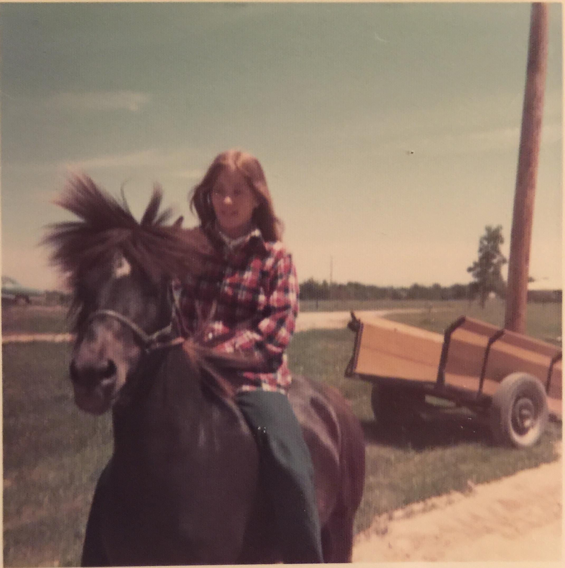 Whoa Nellie!  Photo Credit—Mi…