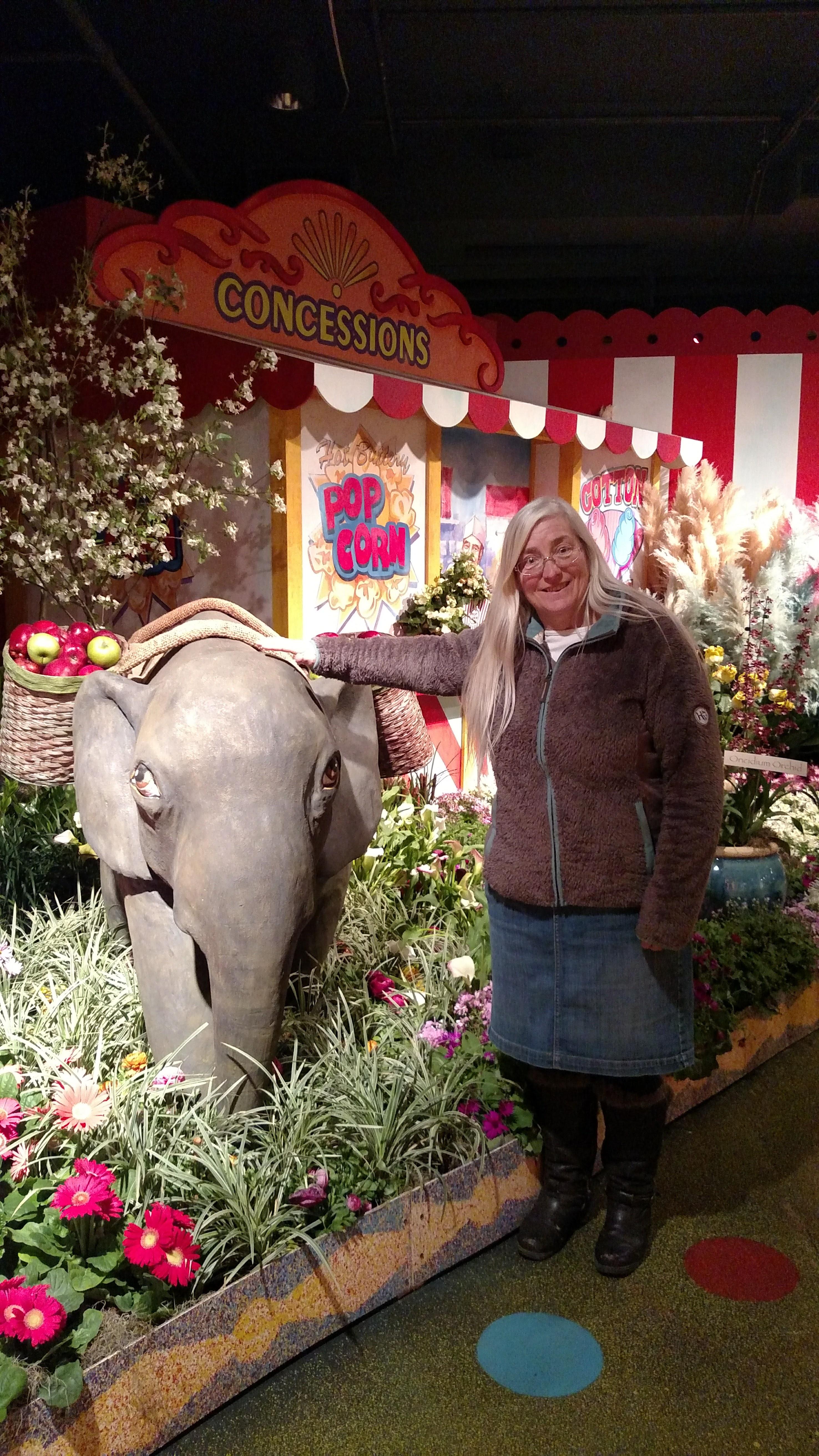 Flower Show in Chicago While …