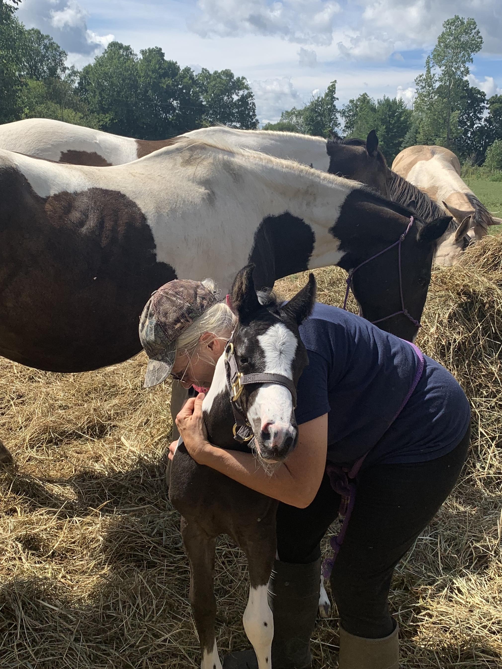 Hanging out with her herd❤️